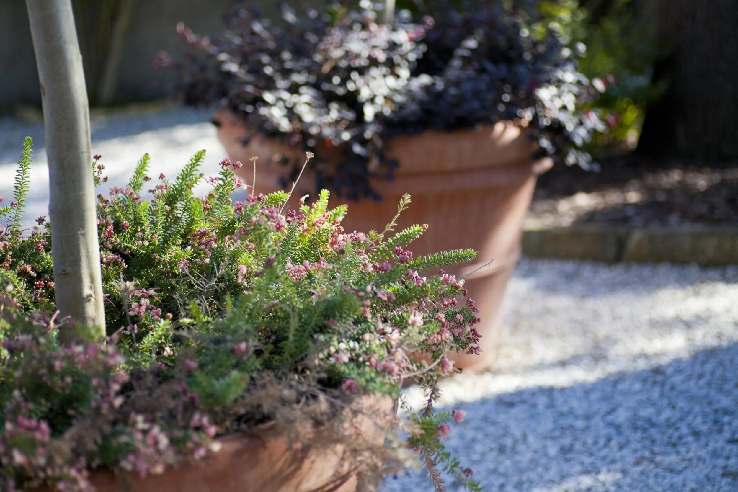 Garden in Relais Villa Belvedere