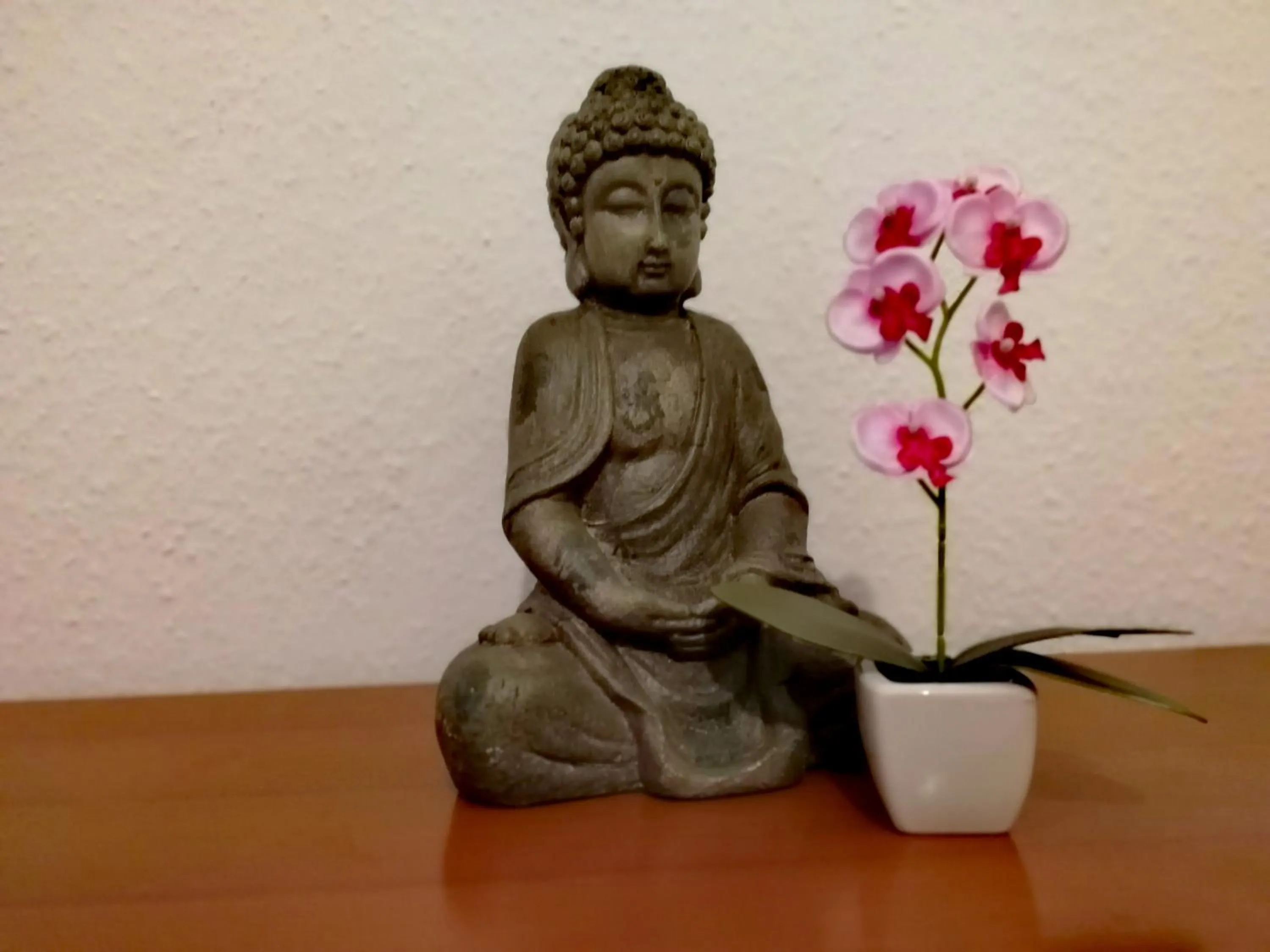 Hotel & Gasthaus Zum Domkreuger