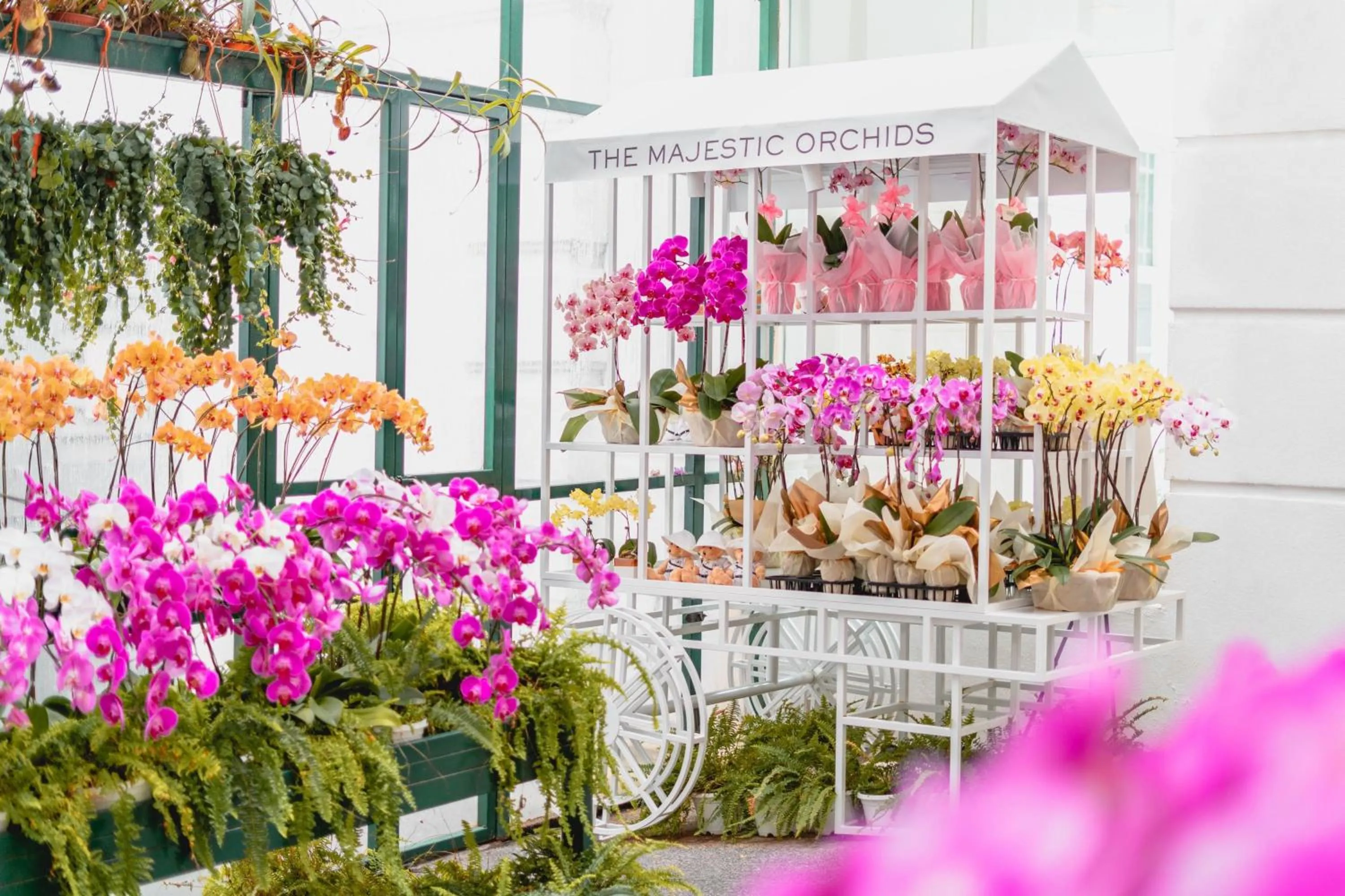 Restaurant/places to eat in The Majestic Hotel Kuala Lumpur, Autograph Collection