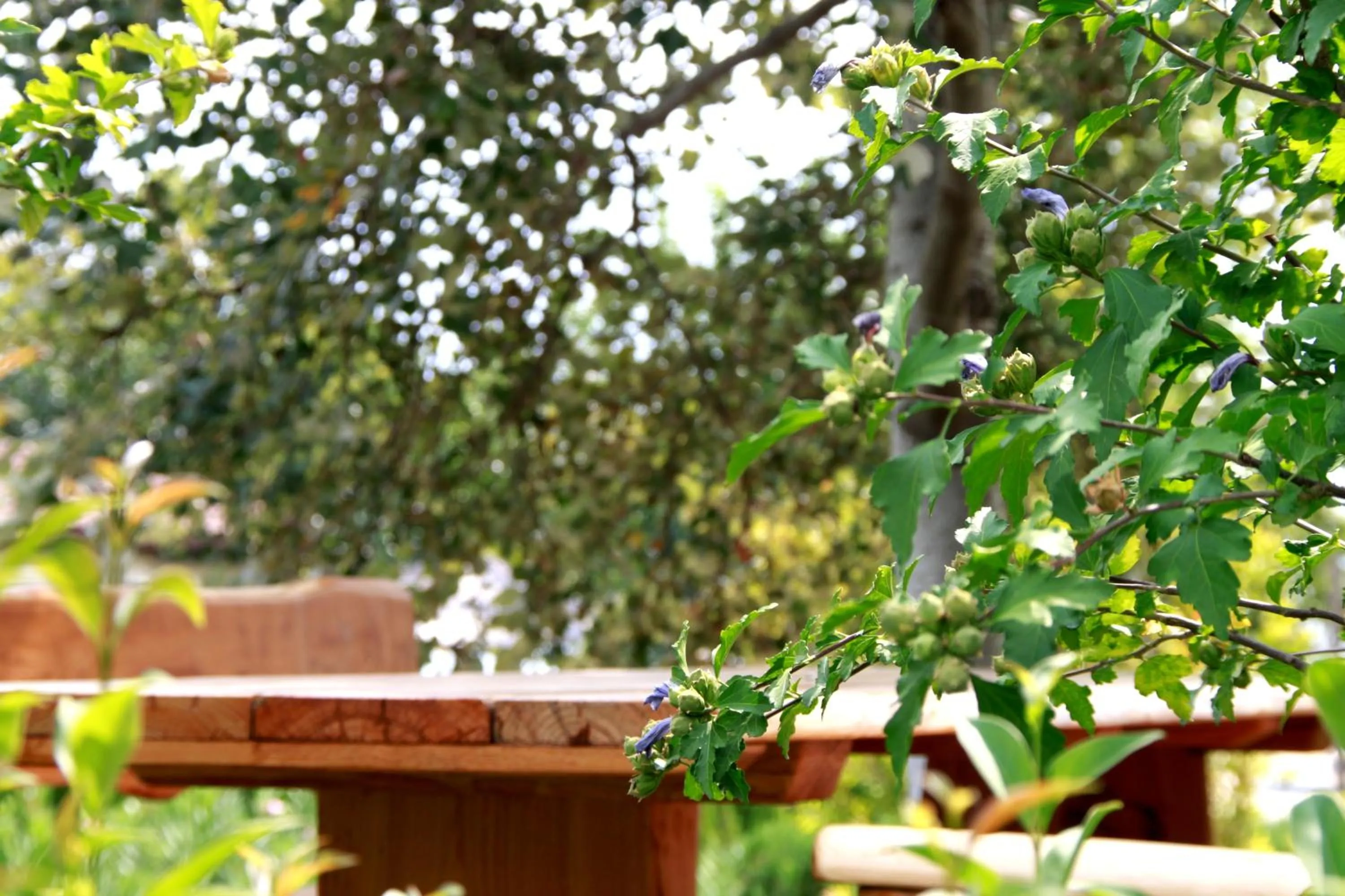 Balcony/Terrace in Akti Retzika