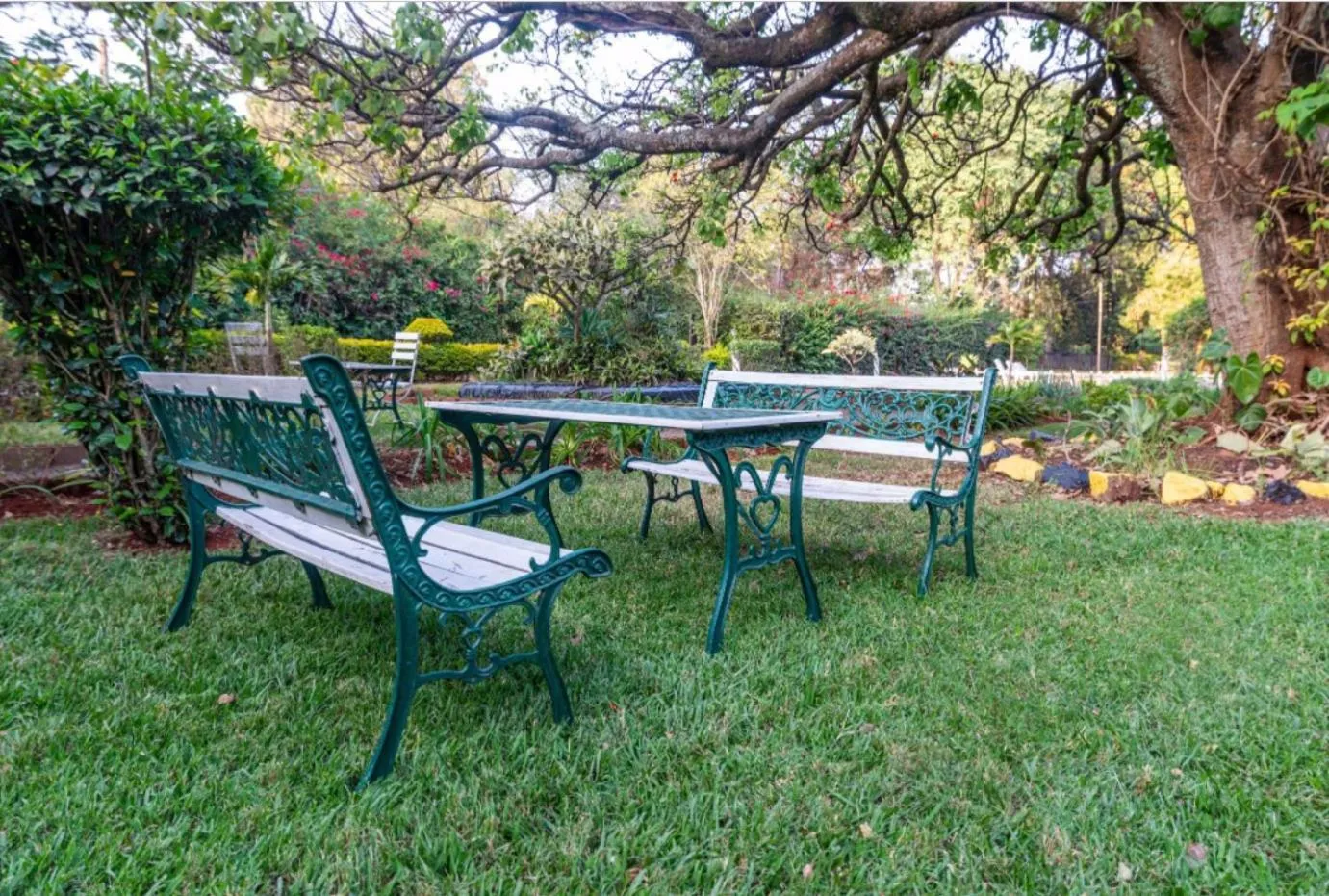 Garden in Hotel Troy