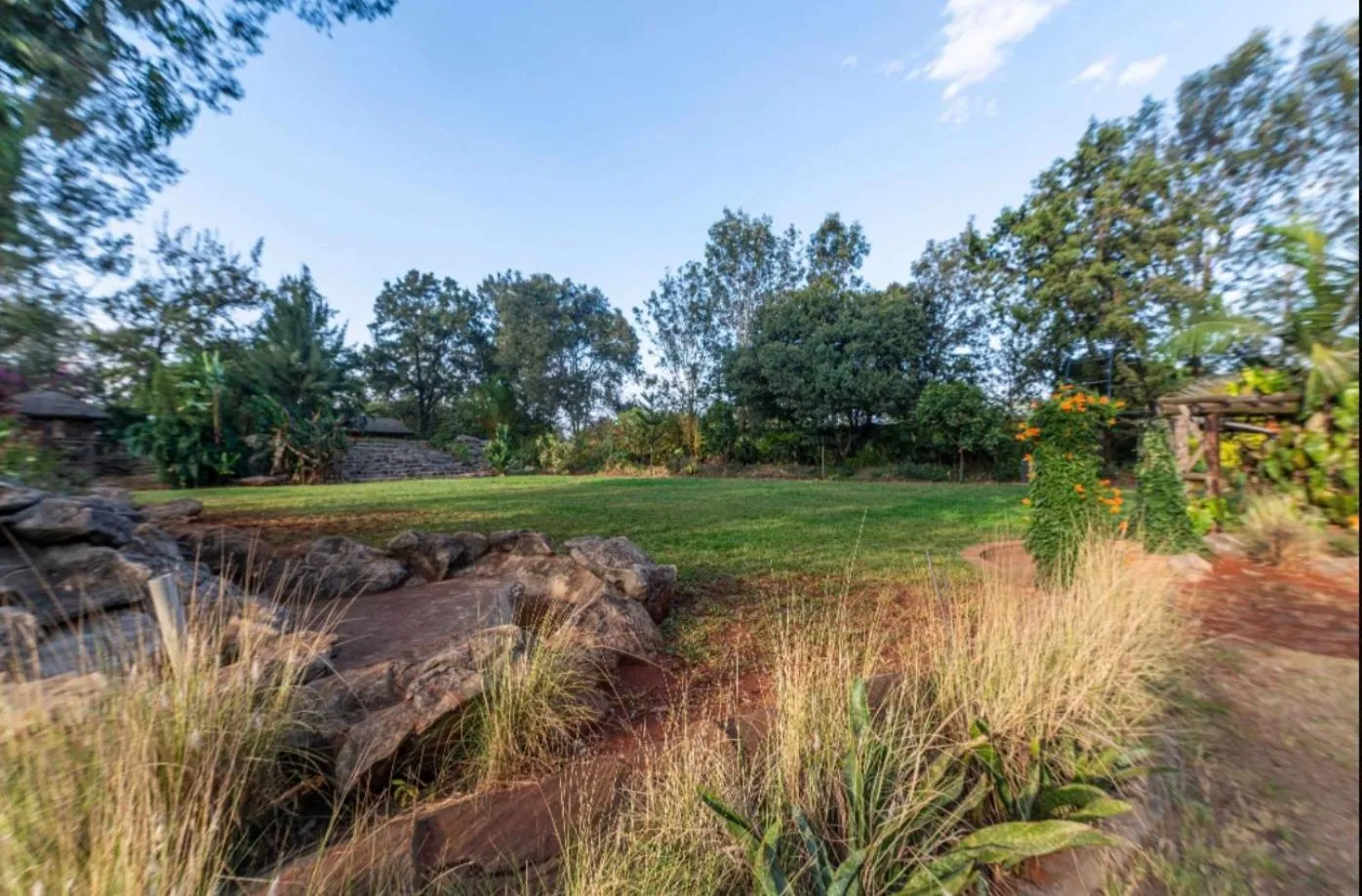 Natural landscape in Hotel Troy