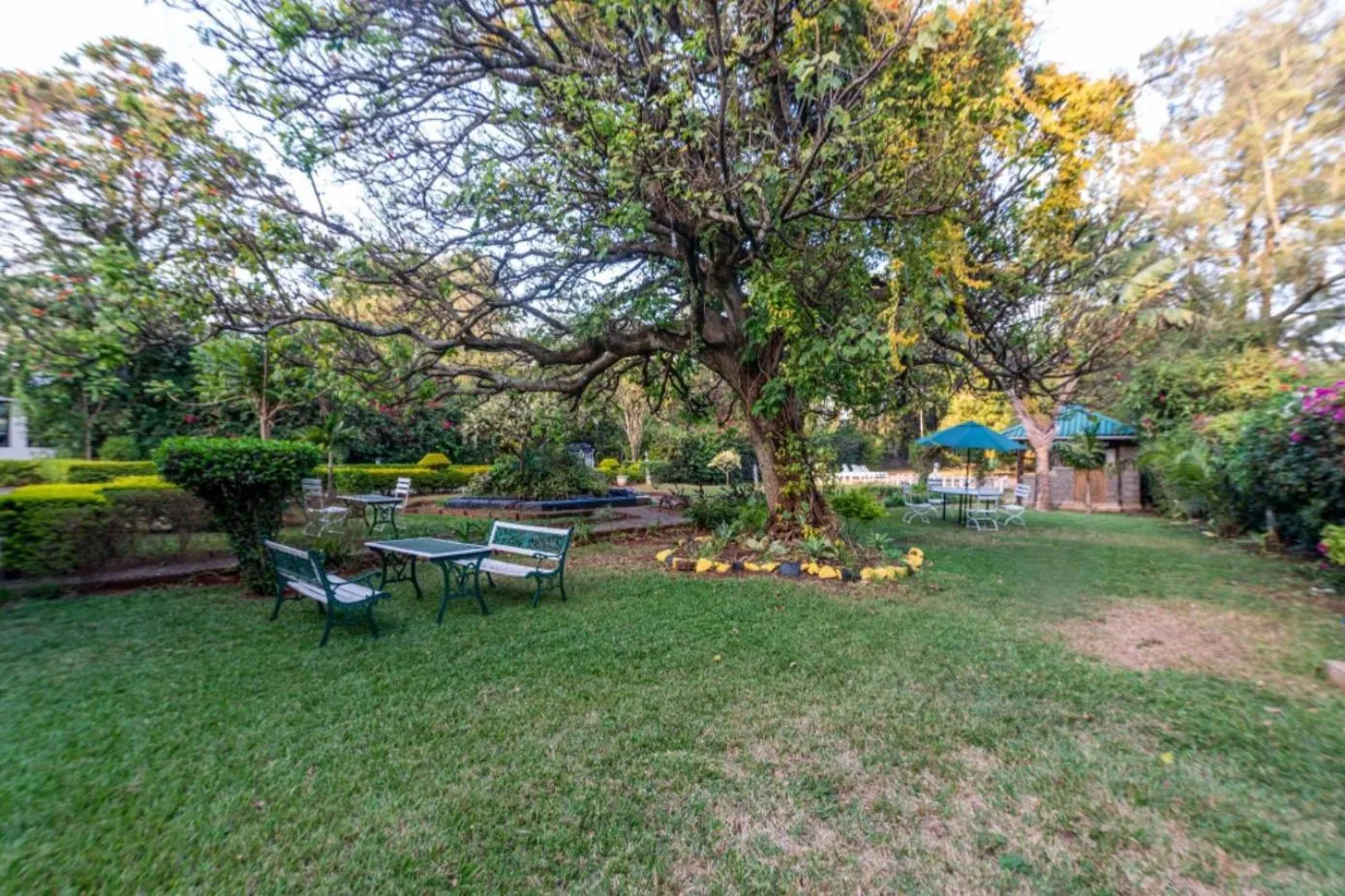 Garden in Hotel Troy