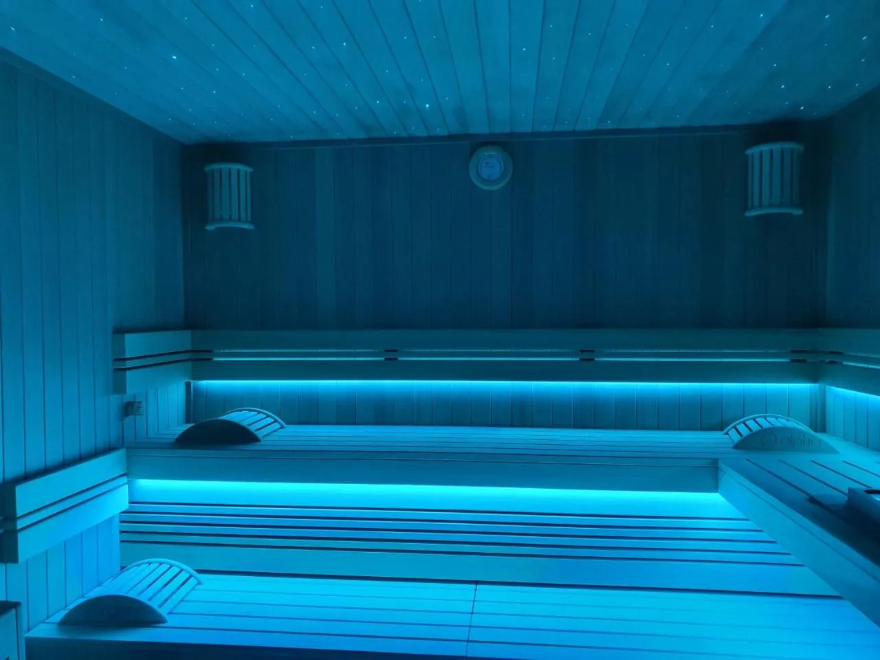 Sauna in Hôtel Spa Marotte