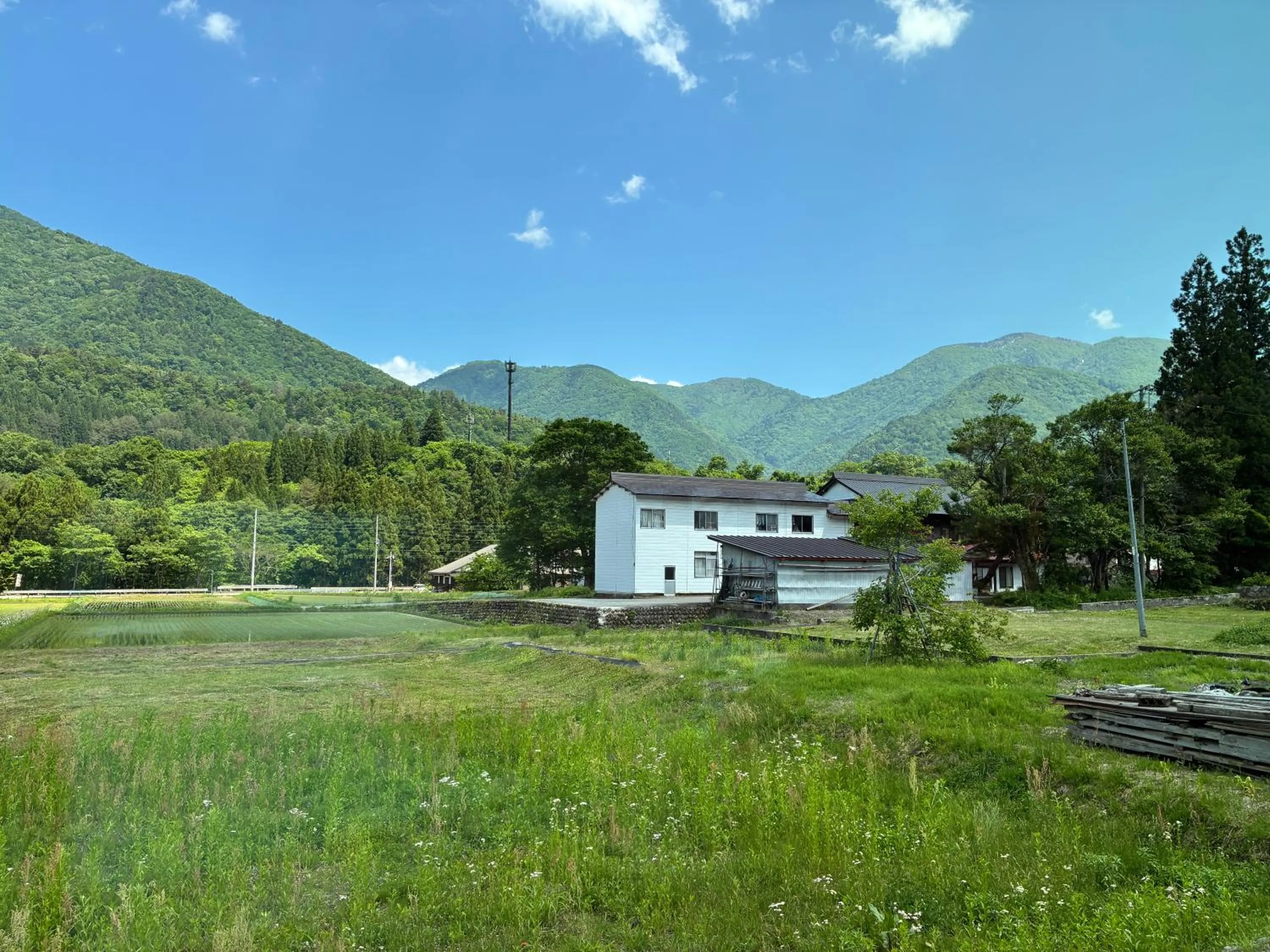 Spring in GuestHouse Shirakawa-Go INN
