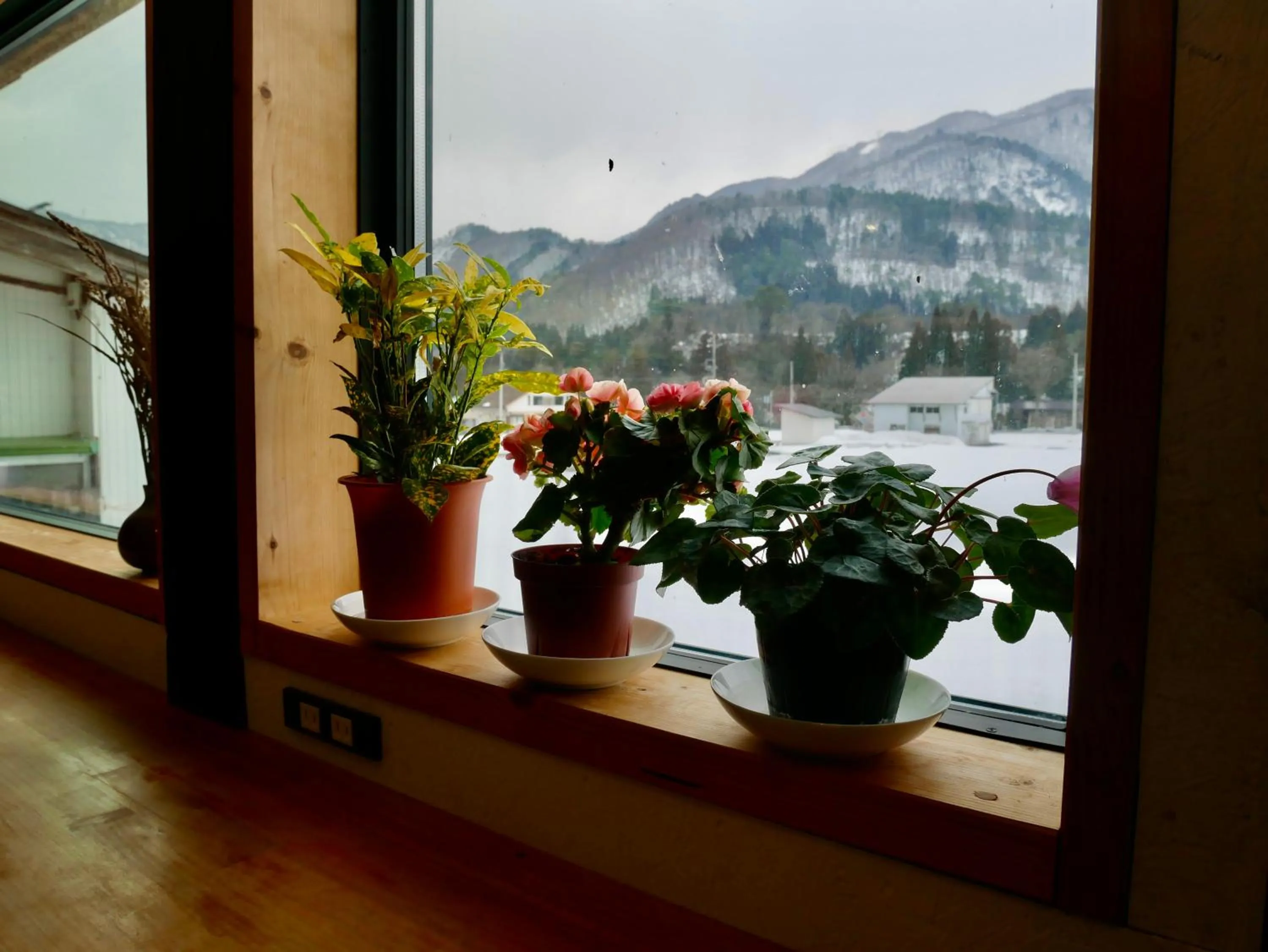 Communal lounge/ TV room in GuestHouse Shirakawa-Go INN