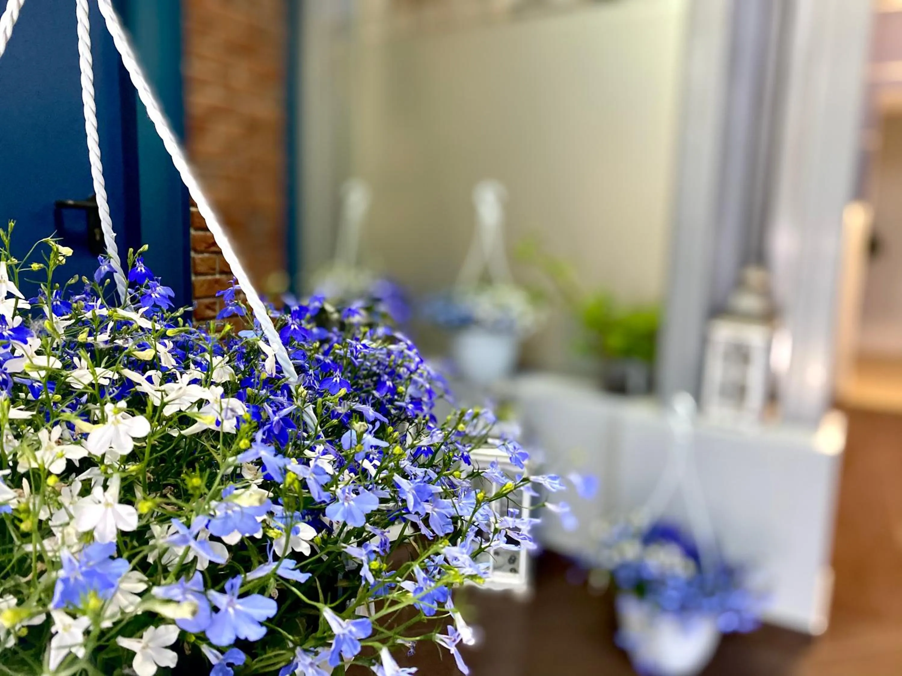 Apartamenty i pokoje „Pod Jedynką”