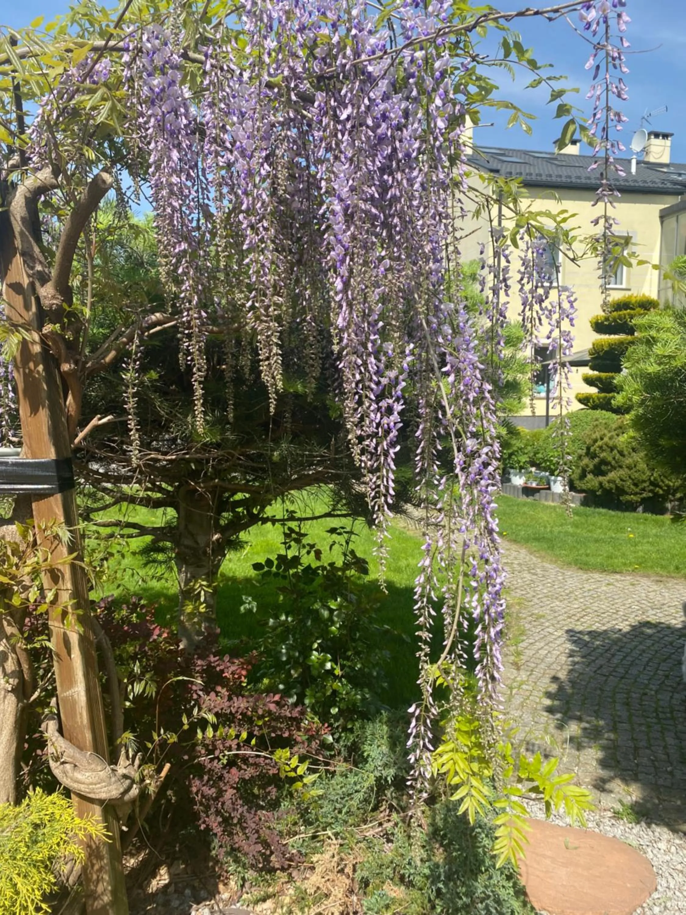 Garden in Apartamenty i pokoje „Pod Jedynką”