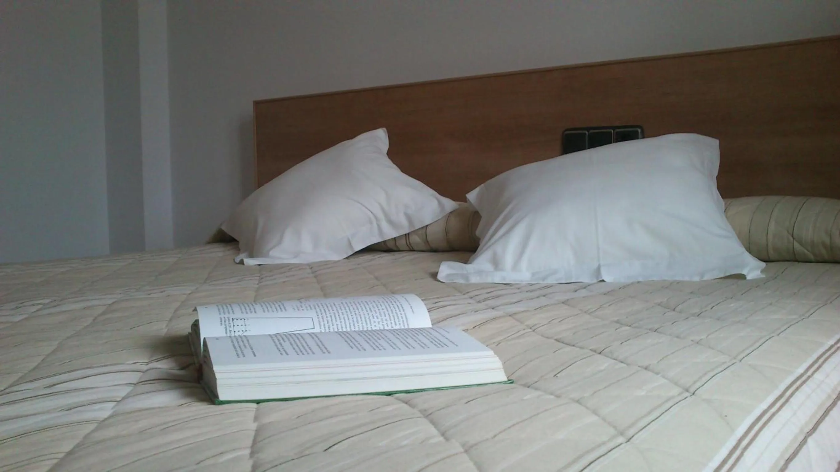 Bedroom, Bed in Hotel Albanta