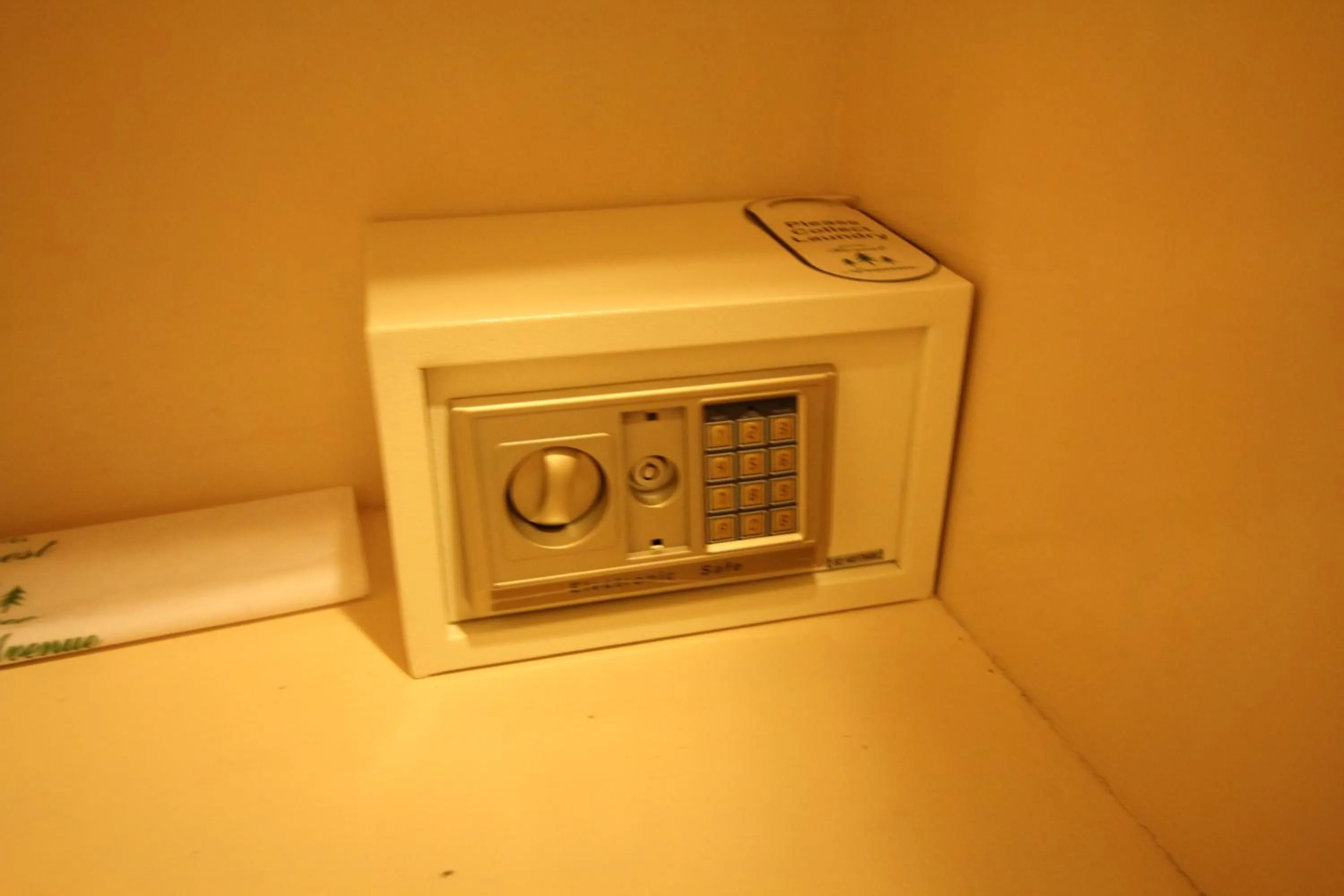 safe in Hotel Forest Avenue - Best Luxury Hotel in Dehradun