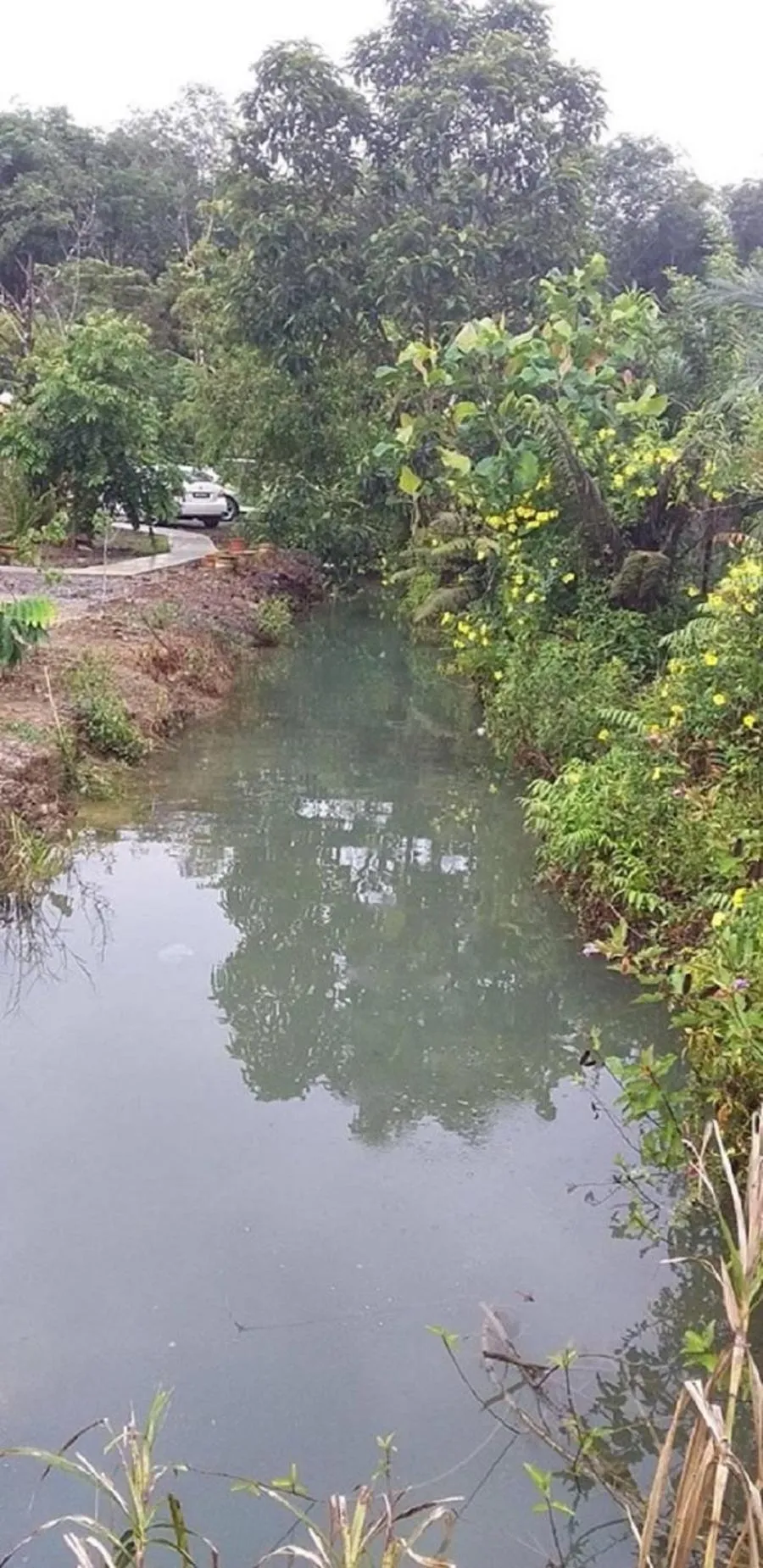 Natural landscape in Seri Kenangan