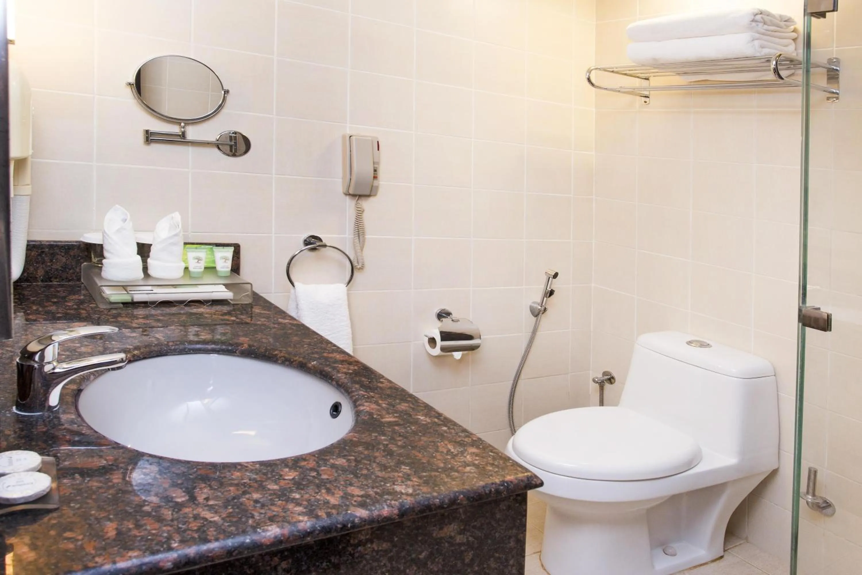 Bathroom in Best Western Premier Muscat