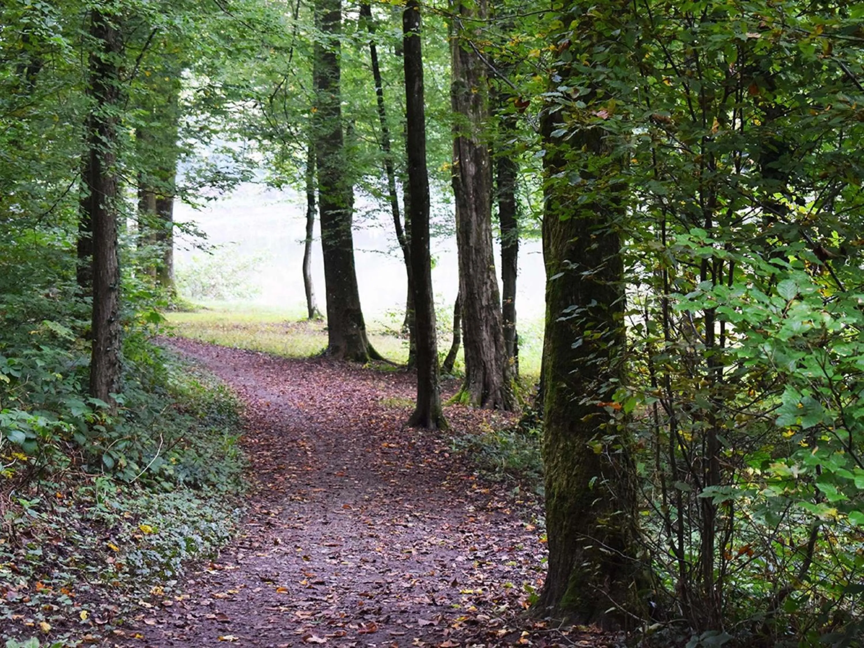 Other in ibis les Etangs des Moines