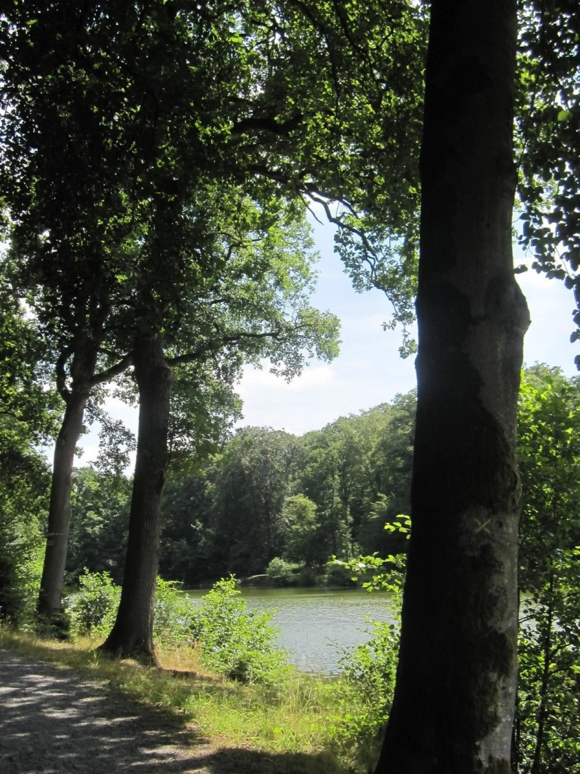 View (from property/room) in ibis les Etangs des Moines