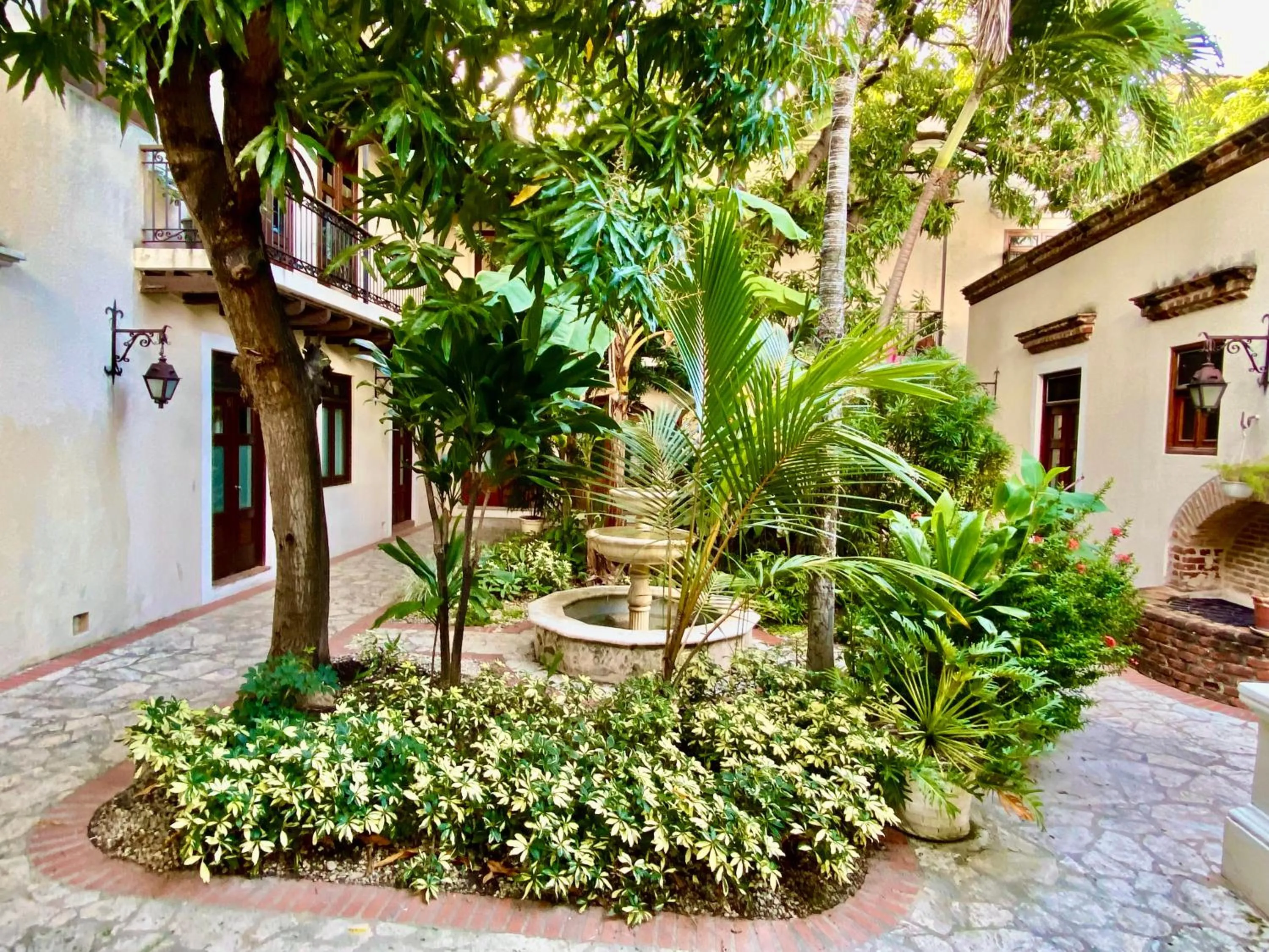 Garden in Paseo Colonial - Ermitage #5