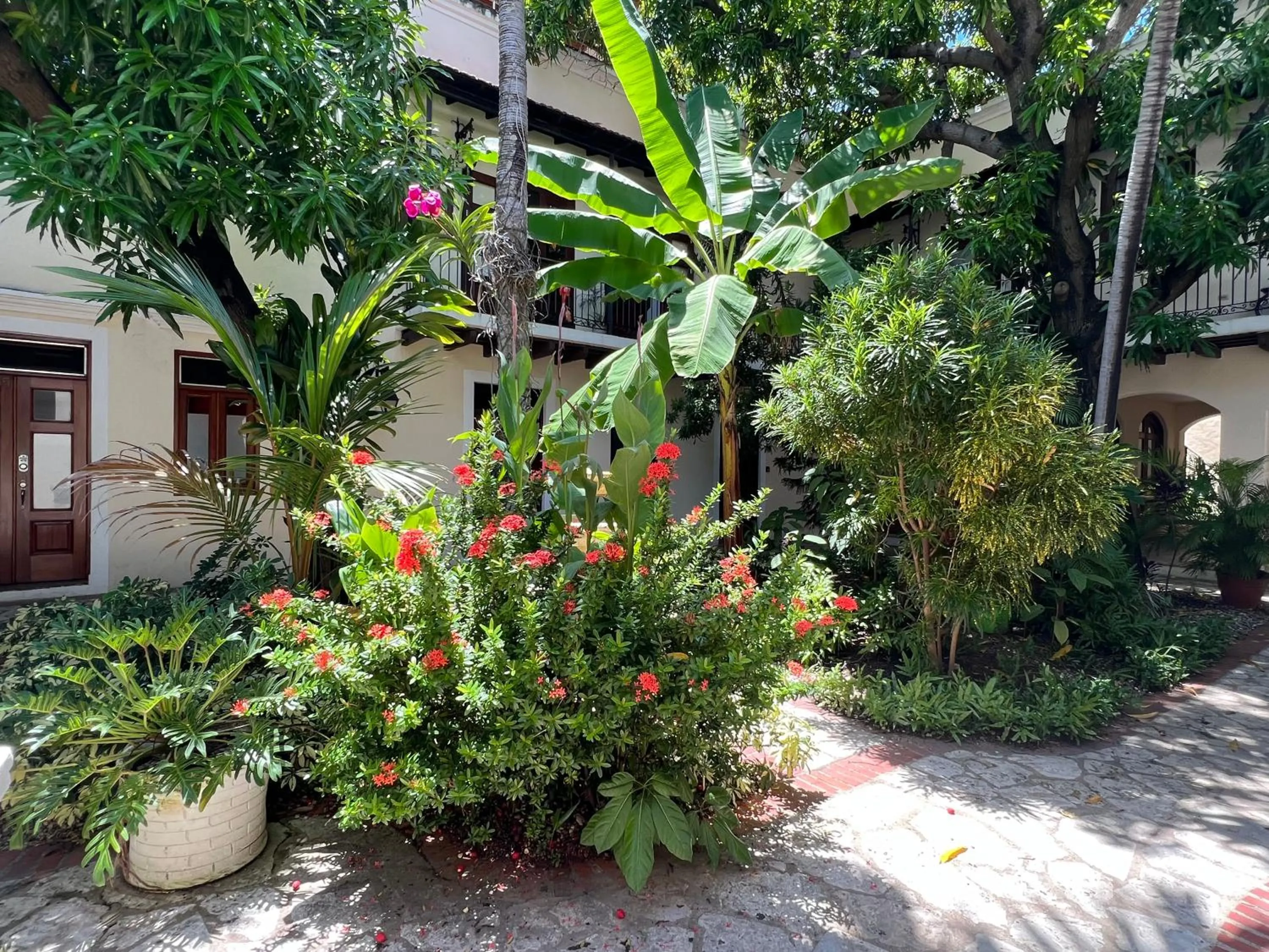 Garden in Paseo Colonial - Ermitage #5