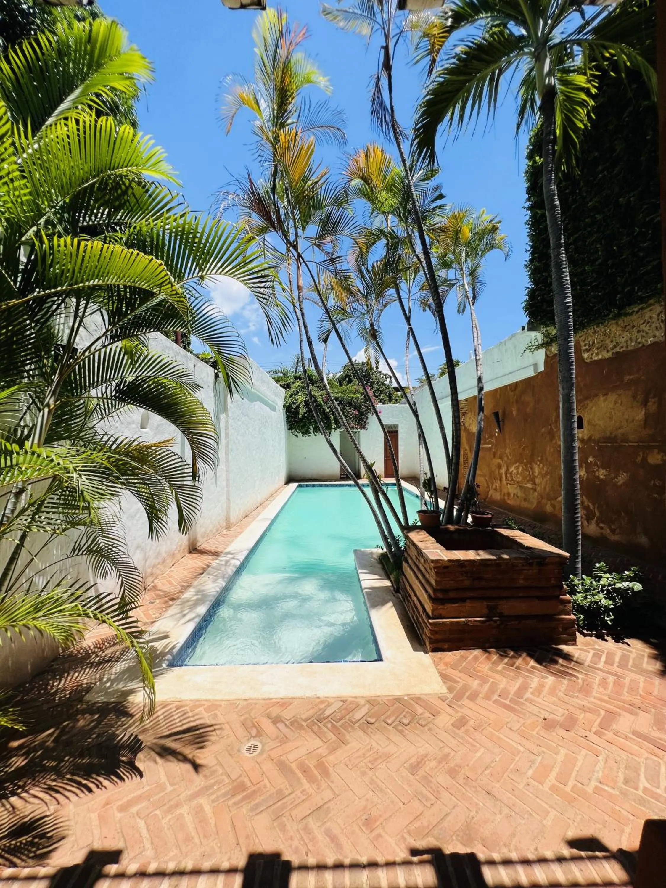 Pool view in Paseo Colonial - Ermitage #5