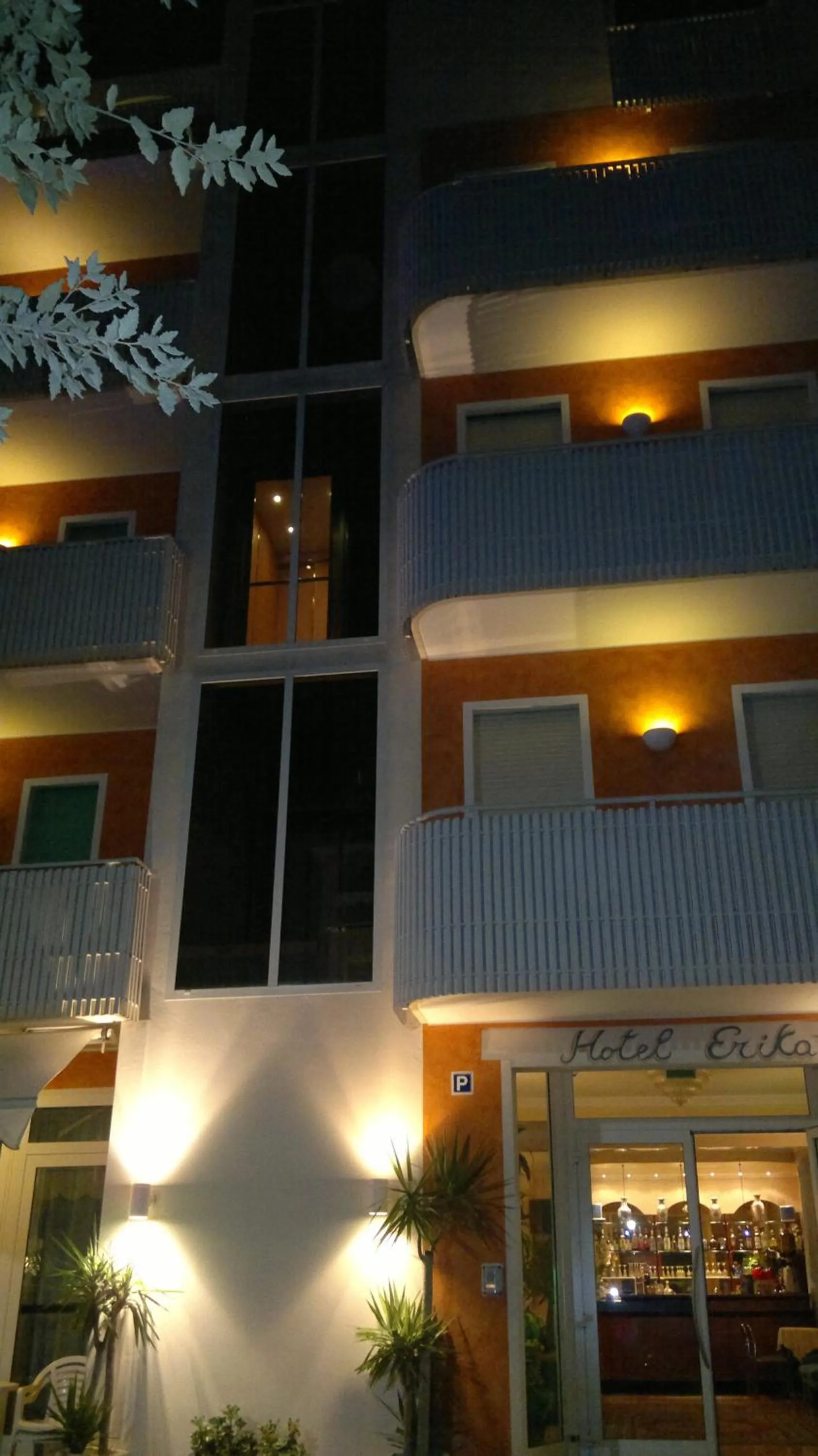 Property building in Hotel Erika