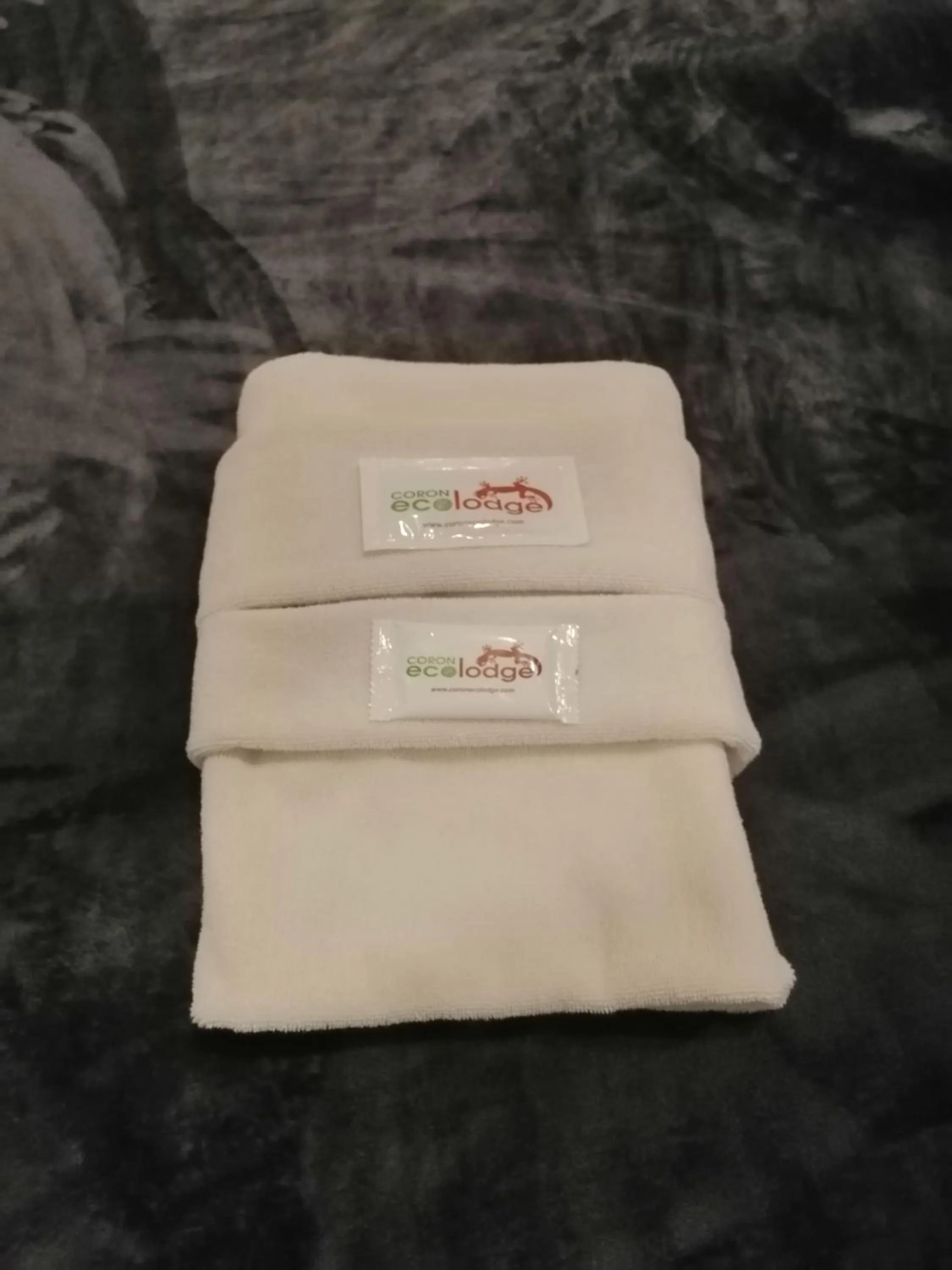 Property logo or sign in Coron Ecolodge