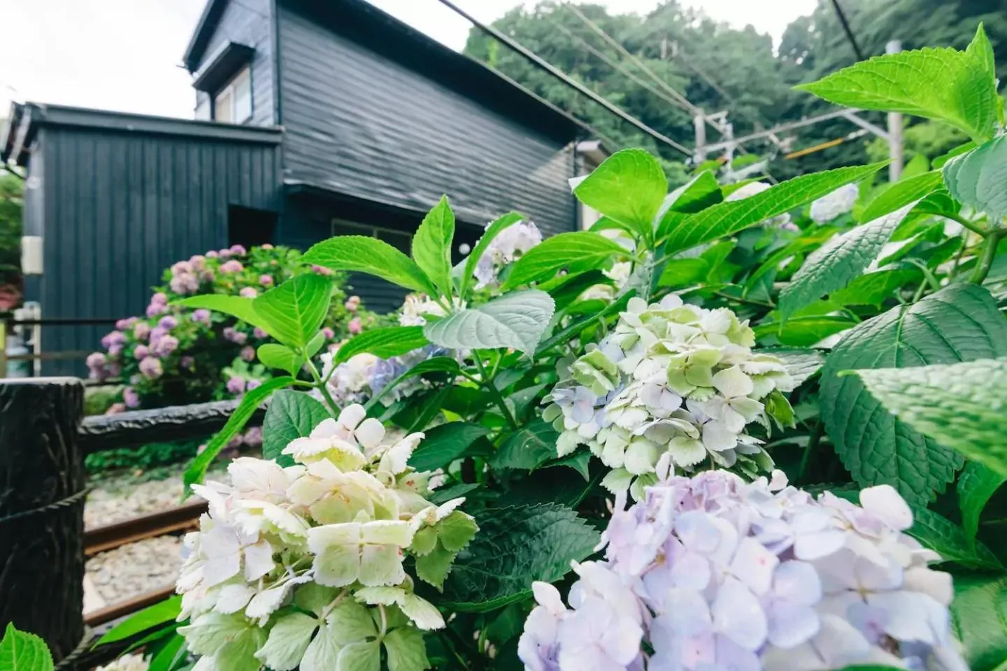Nearby landmark in Villa Kamakura