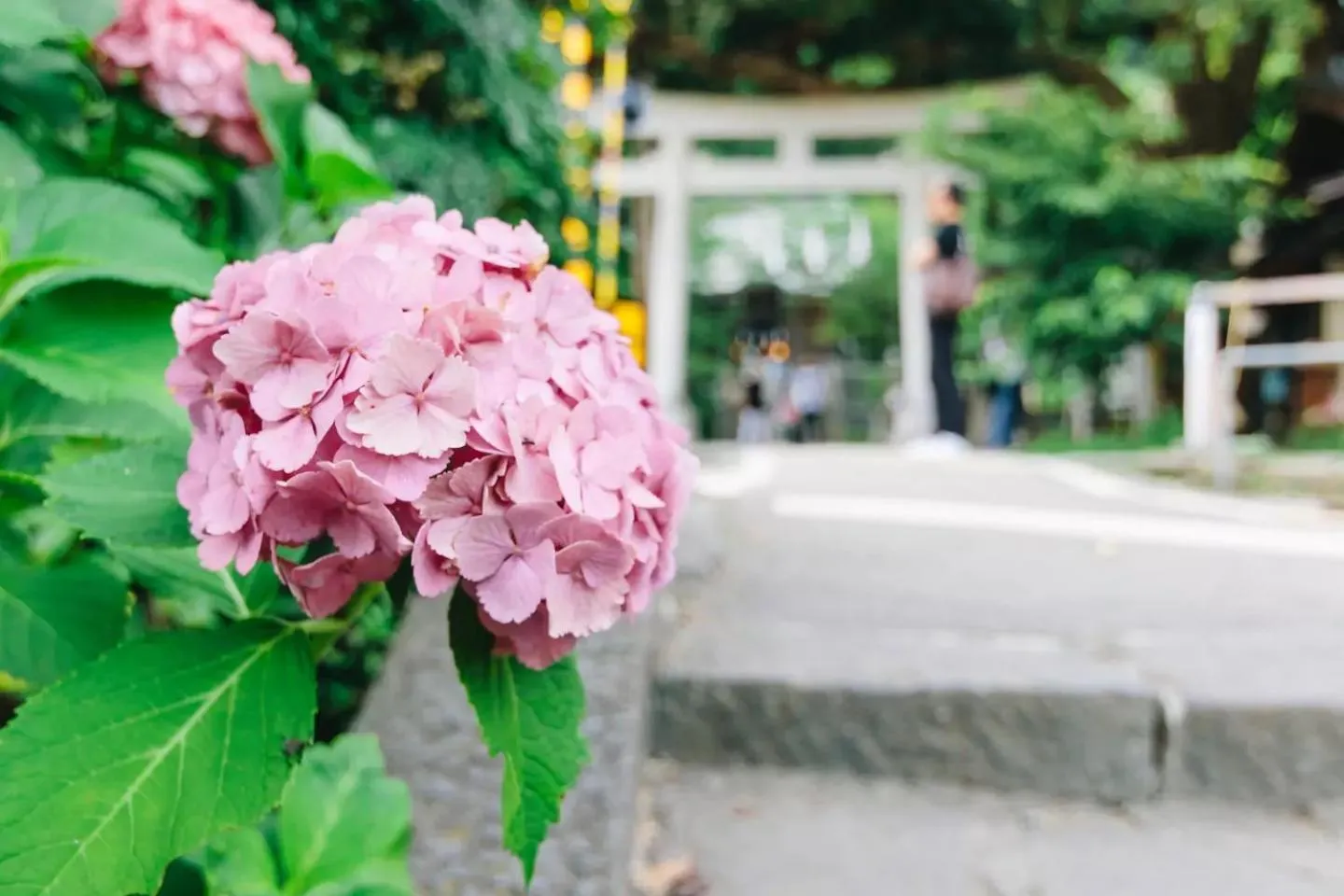 Nearby landmark in Villa Kamakura