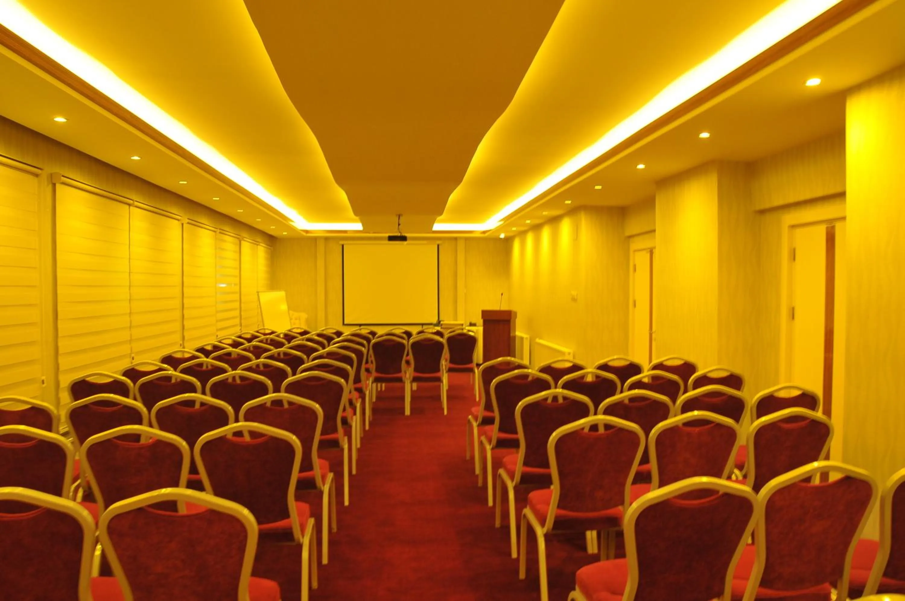Meeting/conference room in Hotel Izgi Turhan