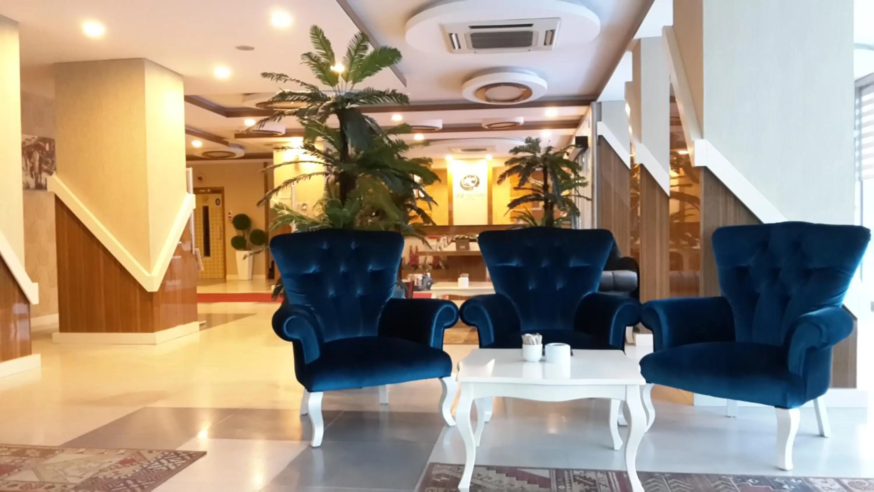 Lobby or reception in Hotel Izgi Turhan
