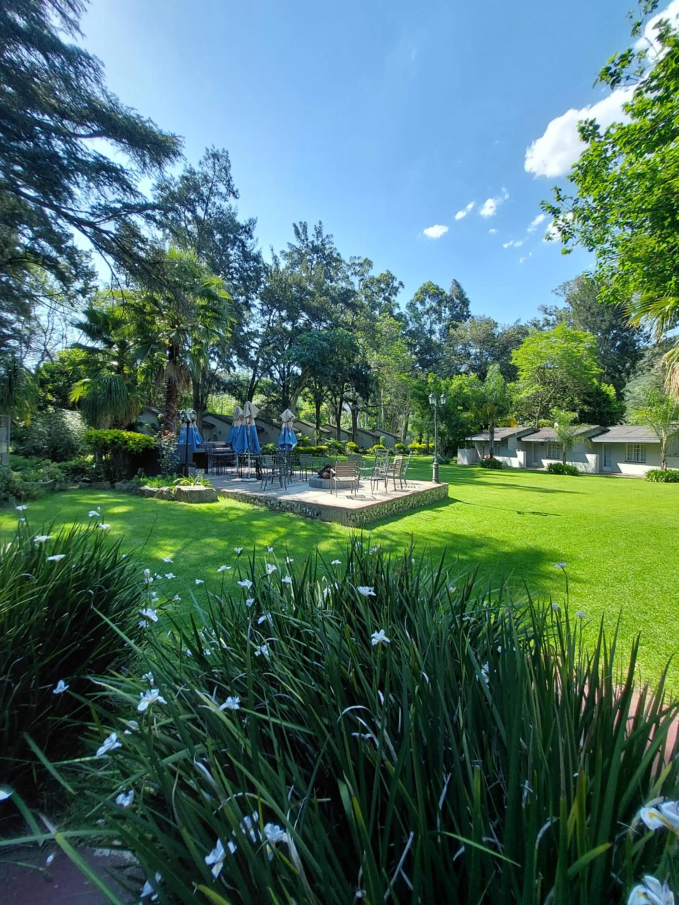 Spring in Wayside Lodge