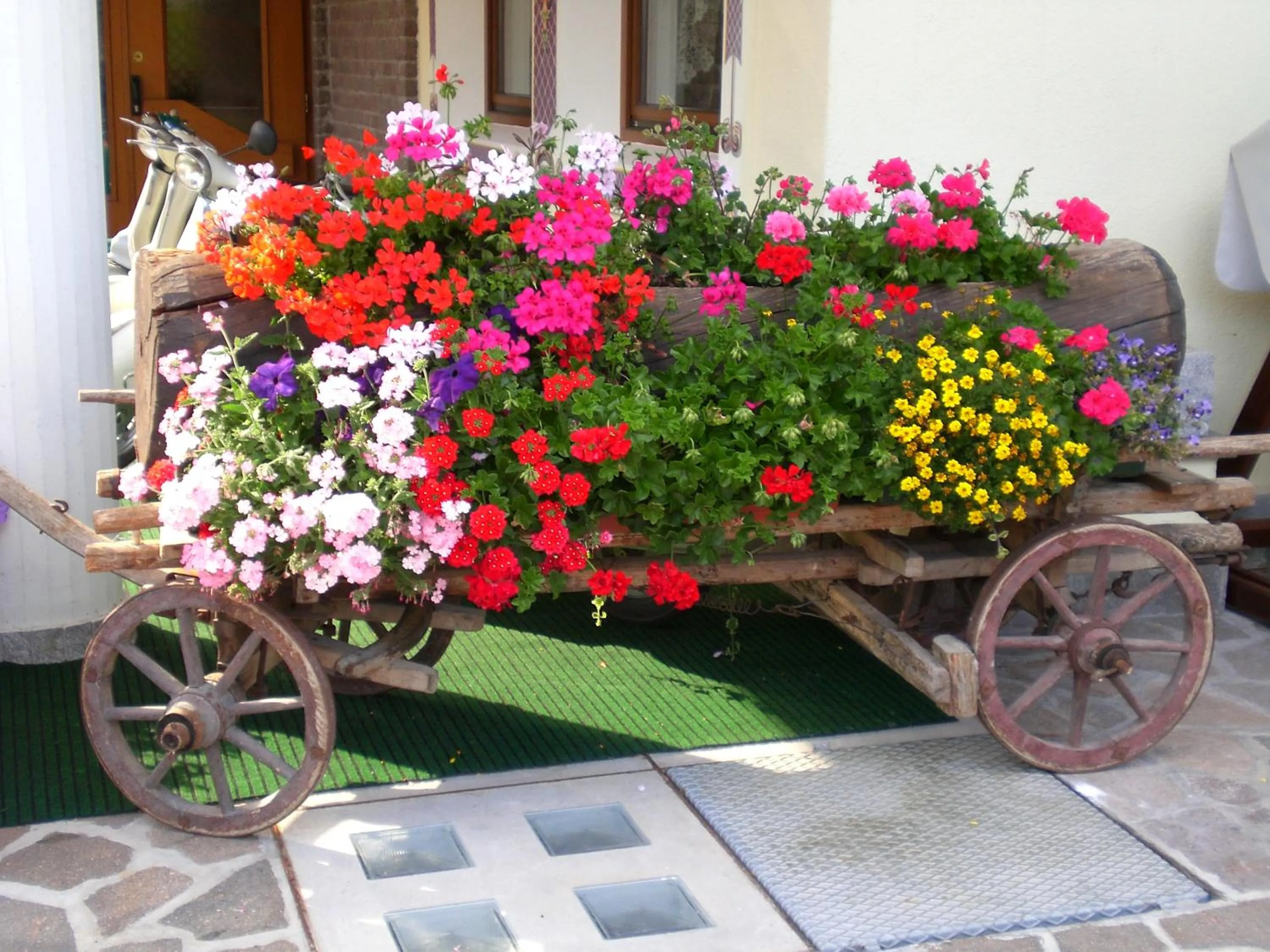 Garden in Park Hotel Arnica