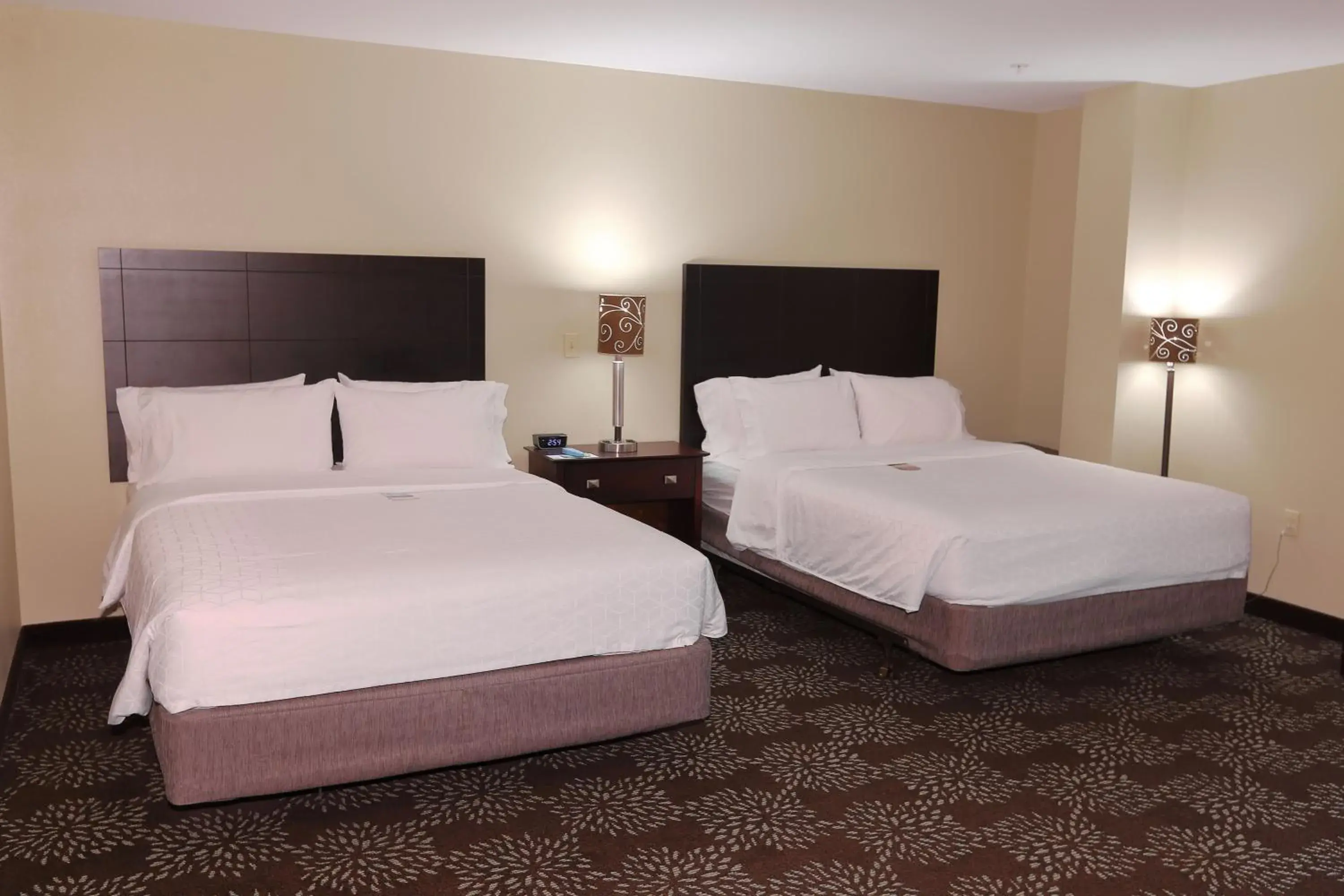 Deluxe Queen Suite - Disability Access in Holiday Inn Express Pittsburgh West - Greentree by IHG Deluxe Queen Suite - Disability Access in Holiday Inn Express Pittsburgh West - Greentree by IHG