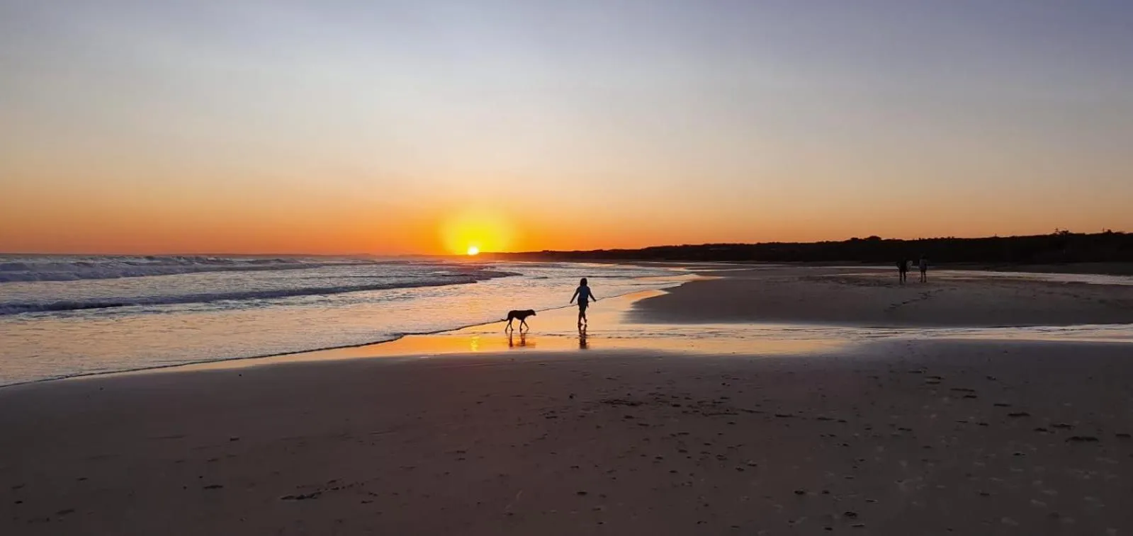 Beach in Hotel Viola