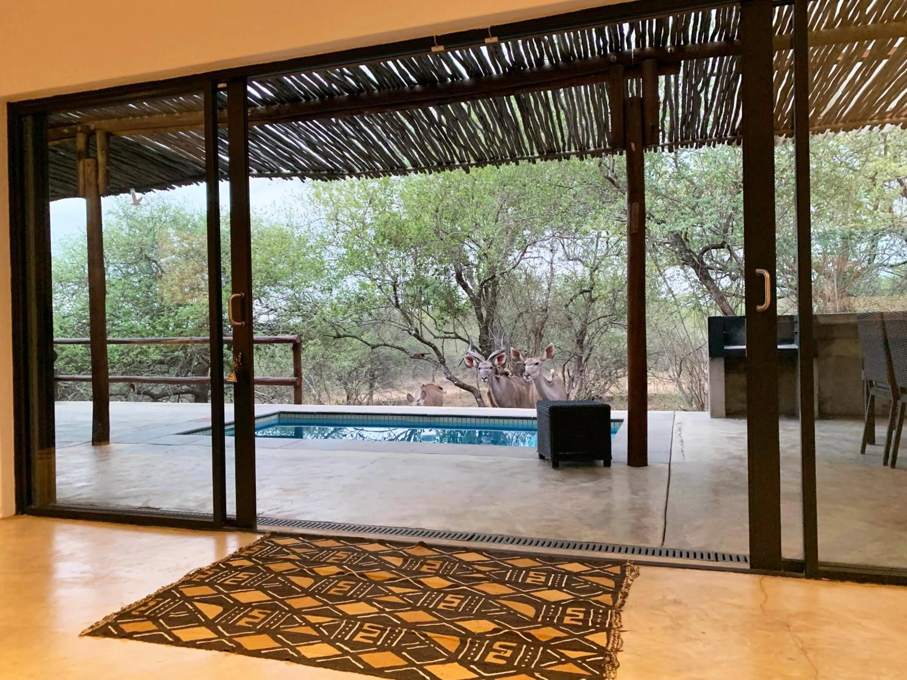 Swimming pool in Kruger Willows