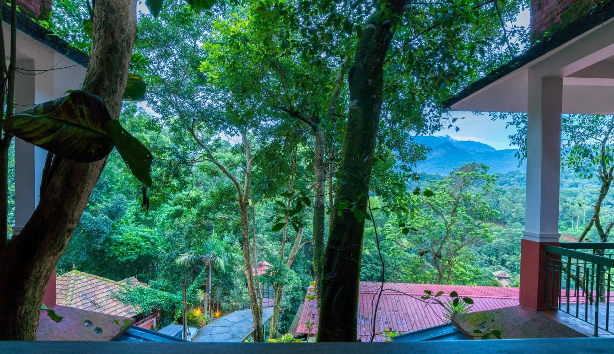 View (from property/room) in Upavan Resort