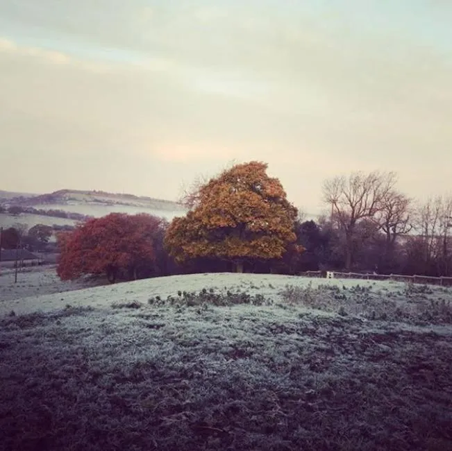 Winter in Finkle Green B & B