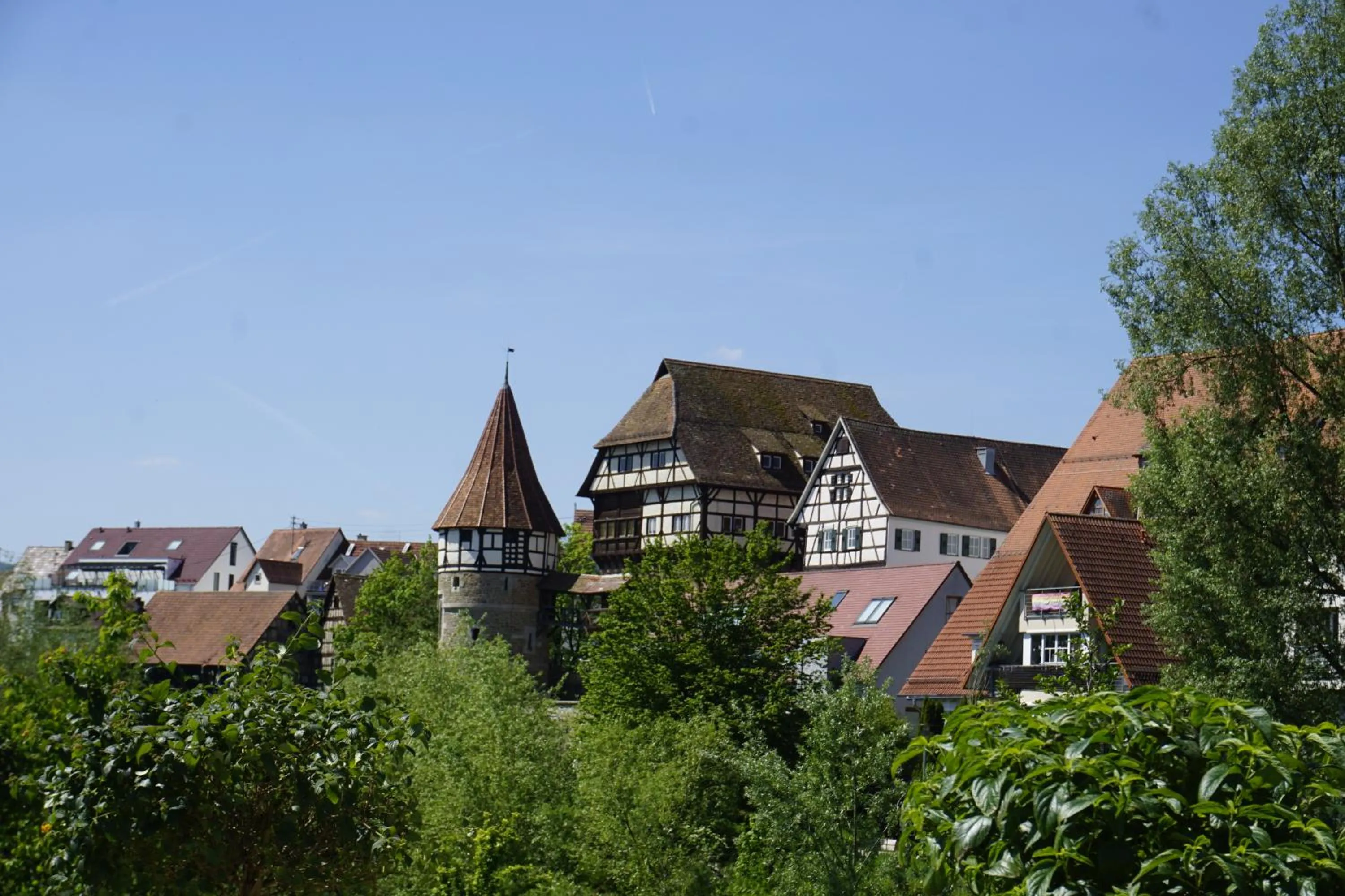 Natural landscape in Hotel Restaurant Thum