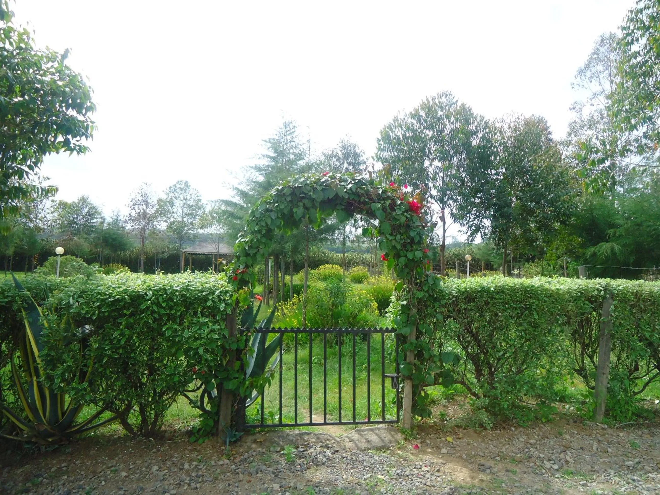 Garden in Triple Eden Resort - Naivasha