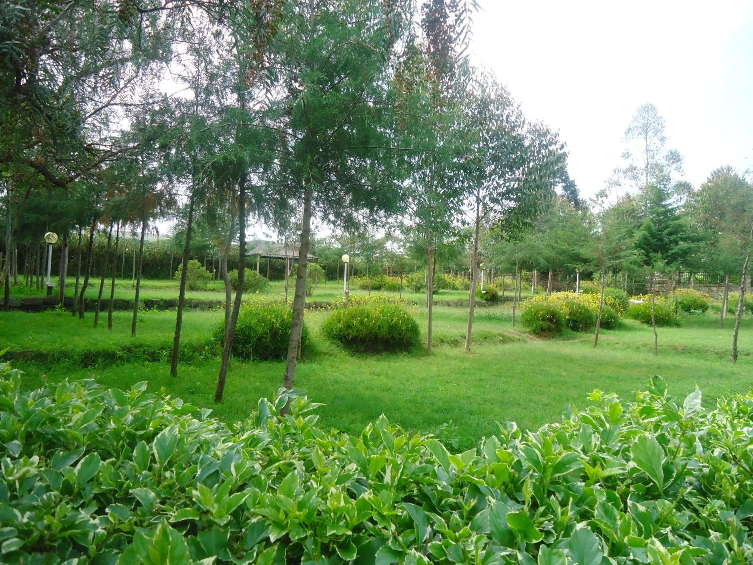 Garden in Triple Eden Resort - Naivasha