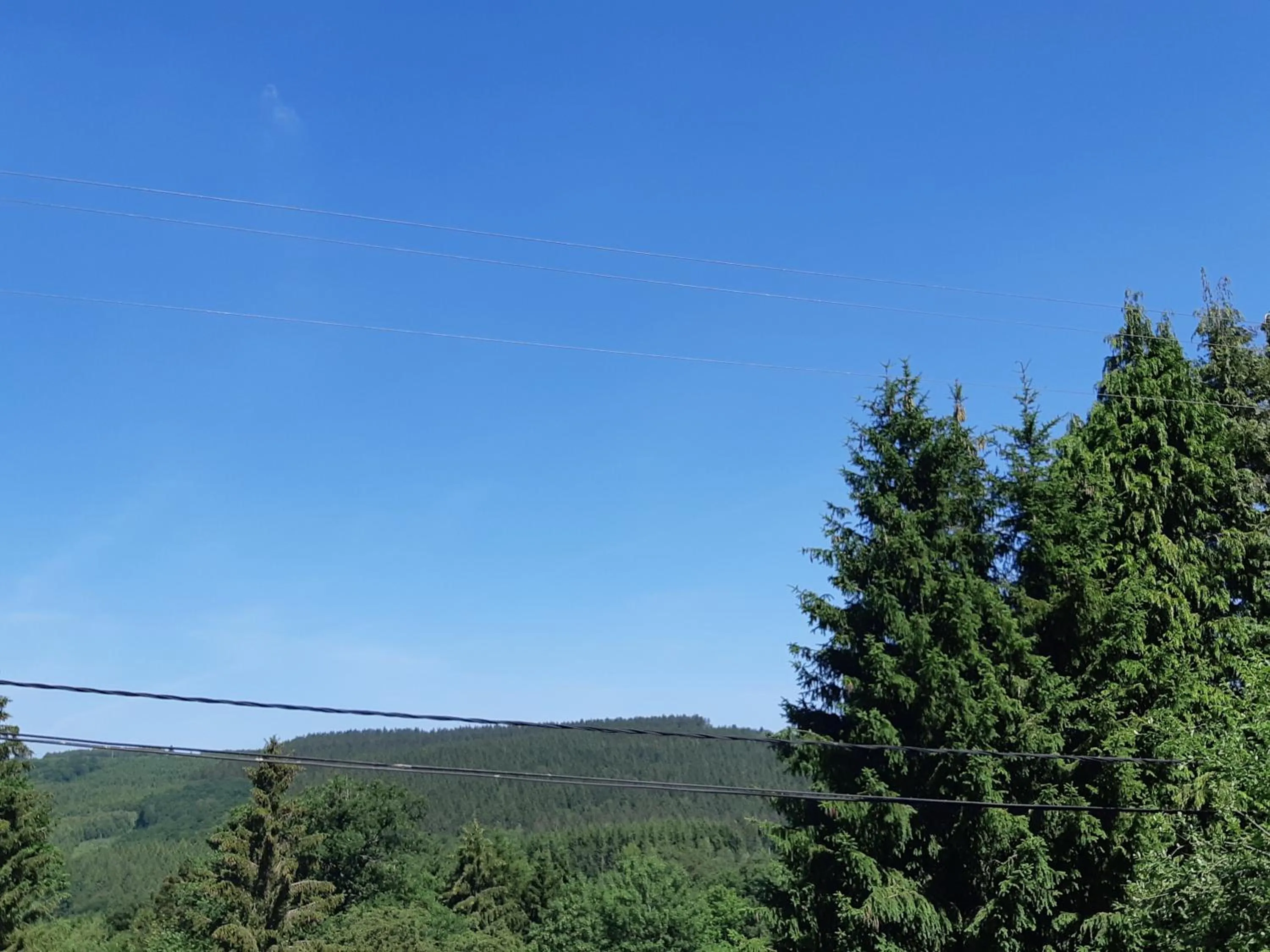 Activities in B&B Caprice d'Epices