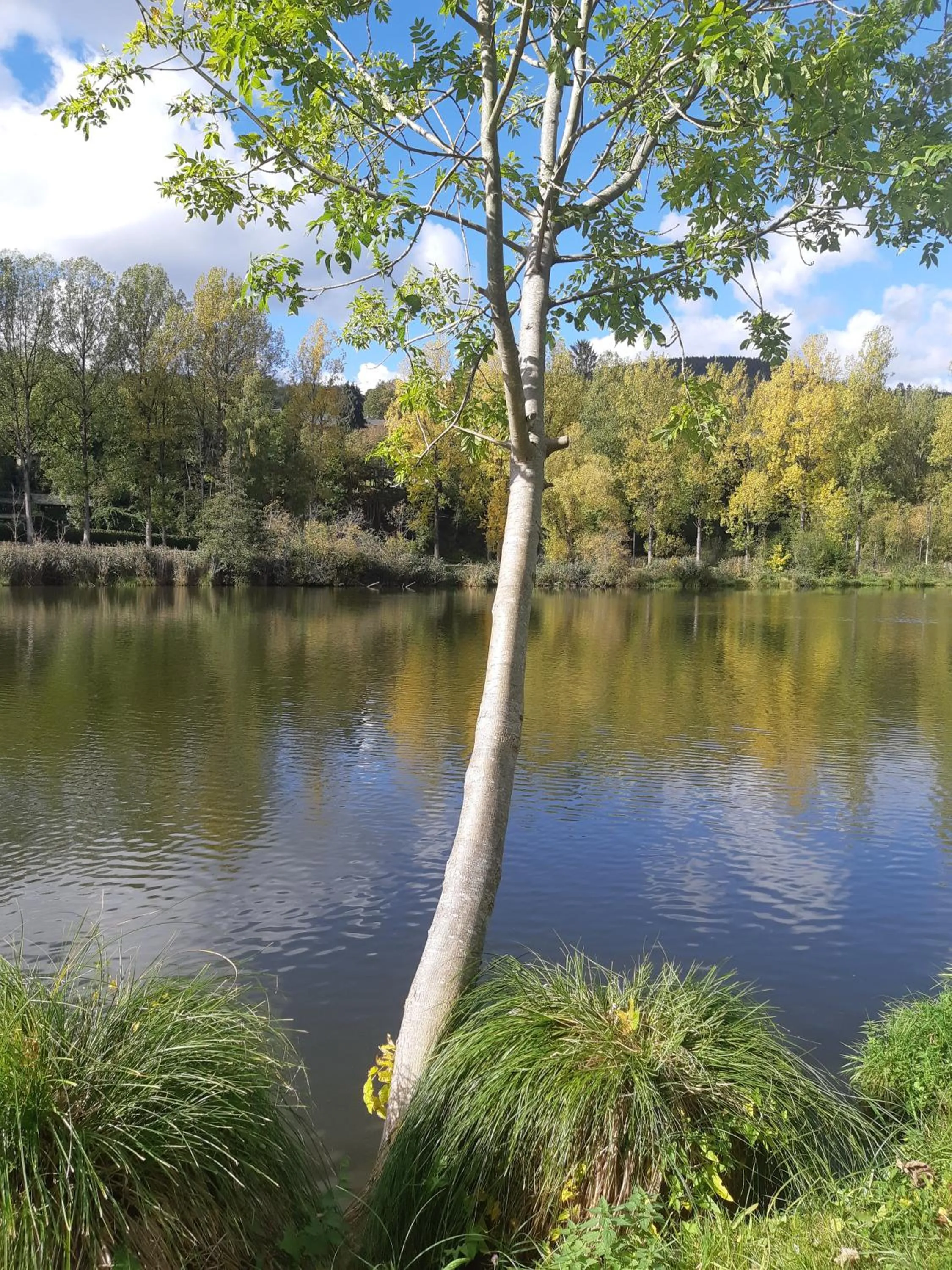 Activities in B&B Caprice d'Epices