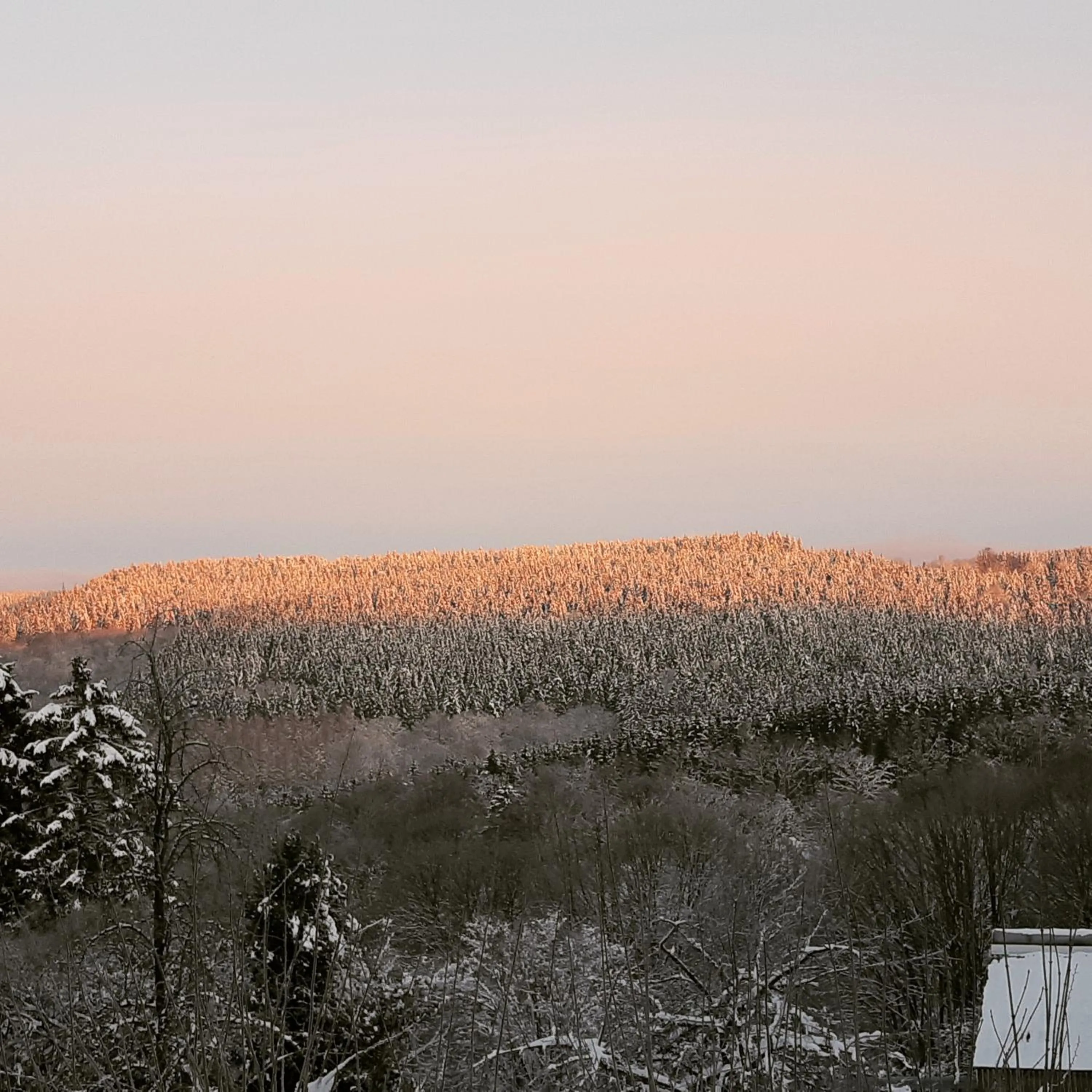 Natural landscape in B&B Caprice d'Epices