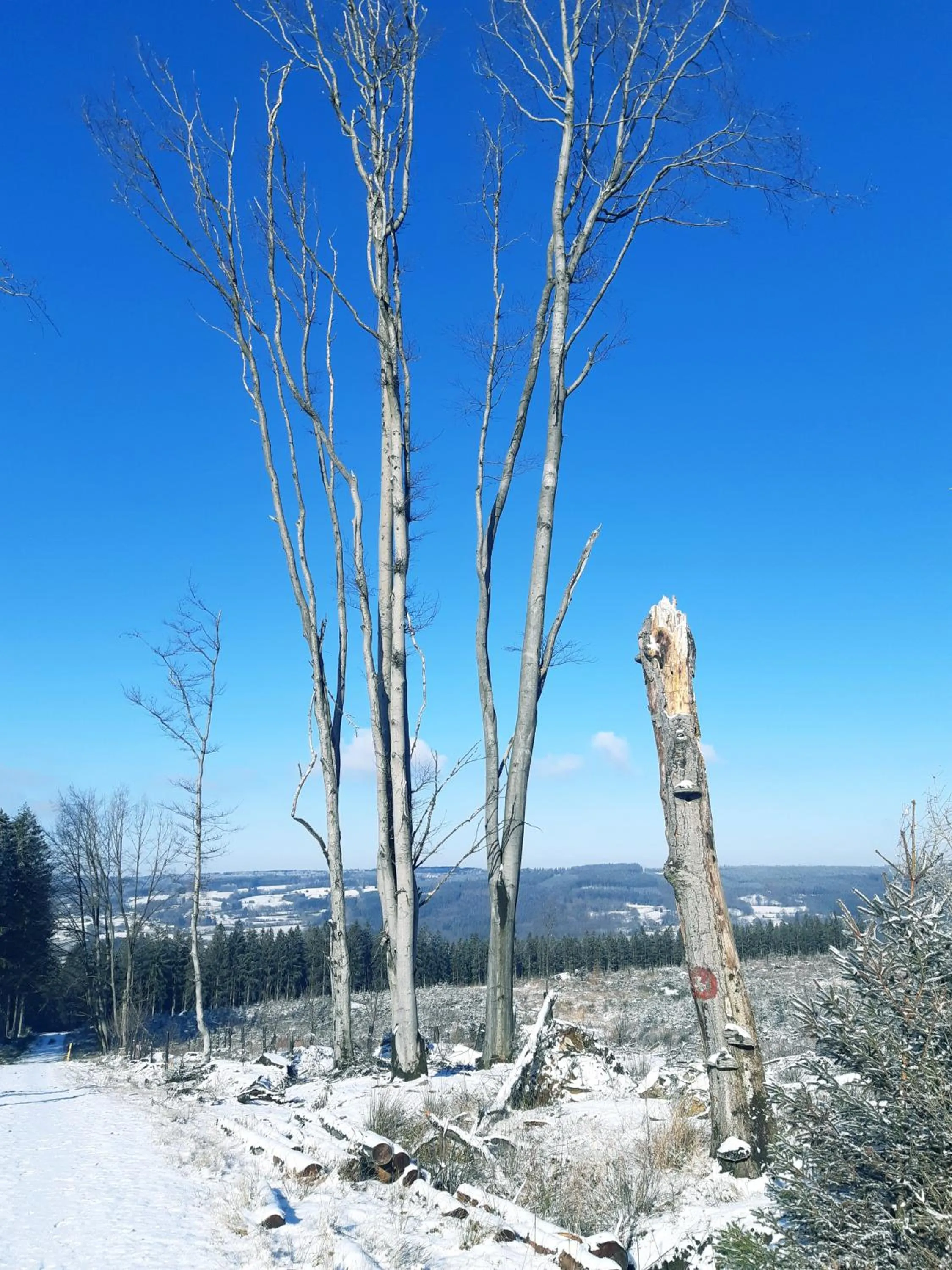 Natural landscape in B&B Caprice d'Epices