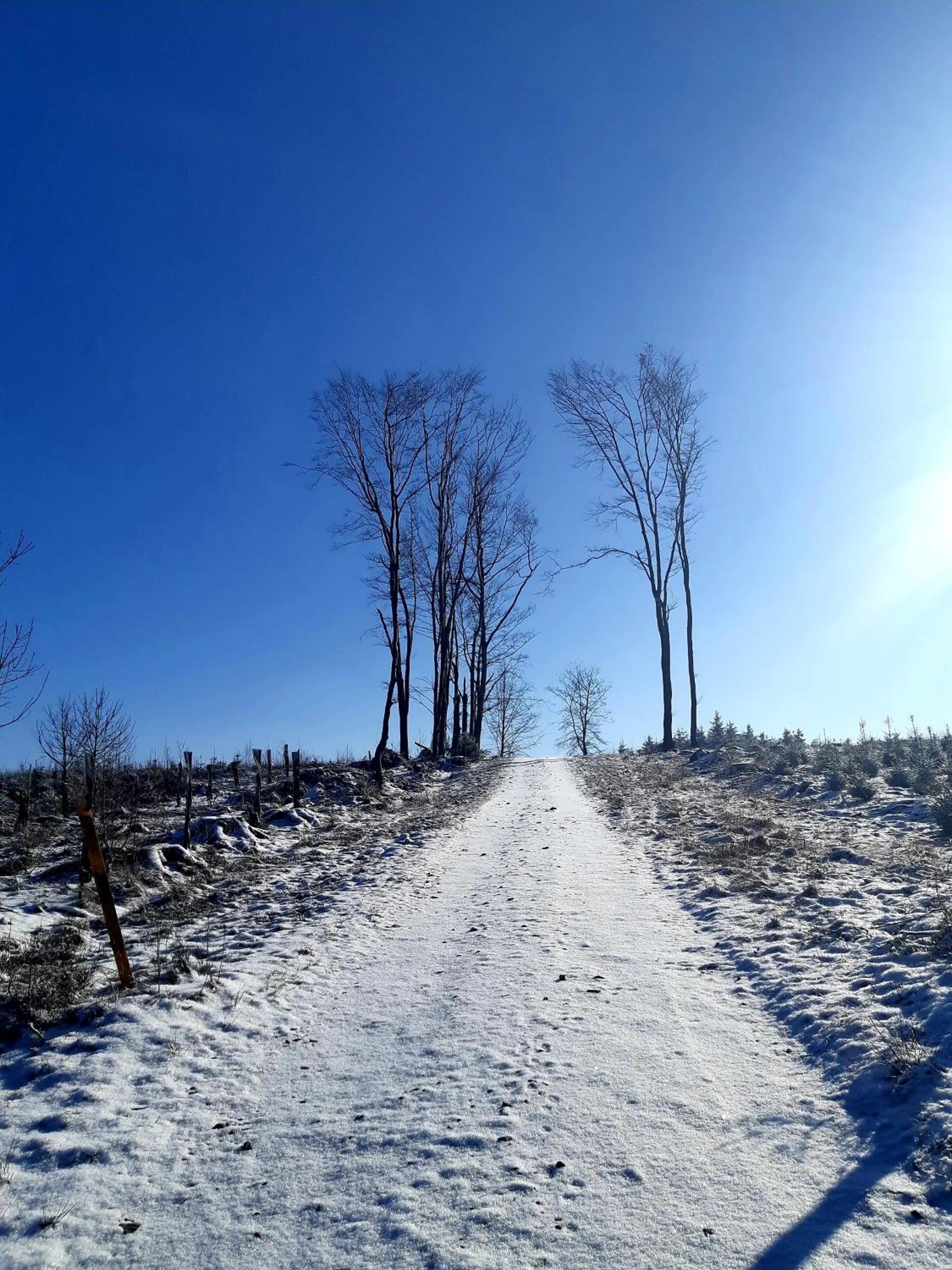 Natural landscape in B&B Caprice d'Epices