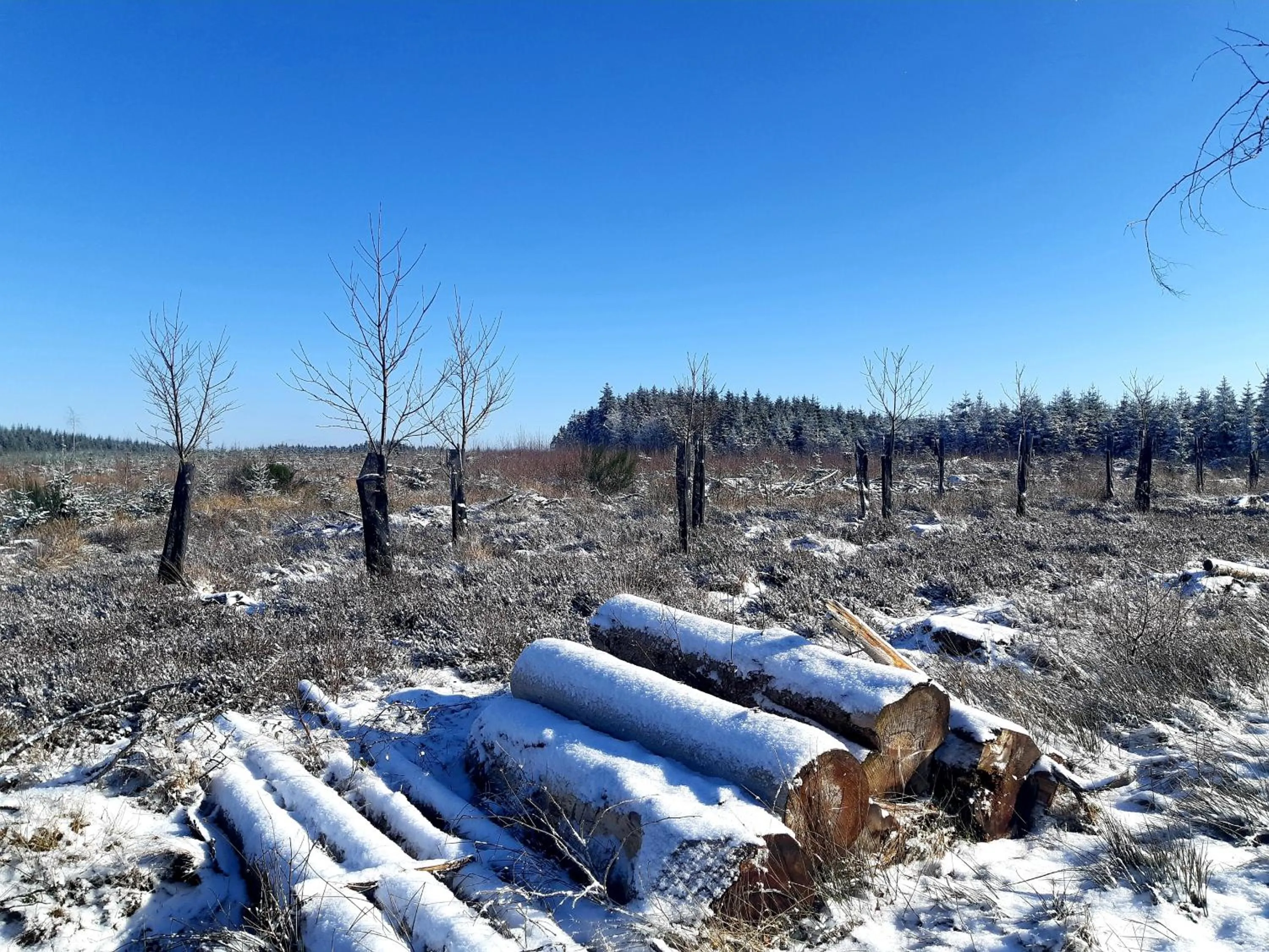 Natural landscape in B&B Caprice d'Epices