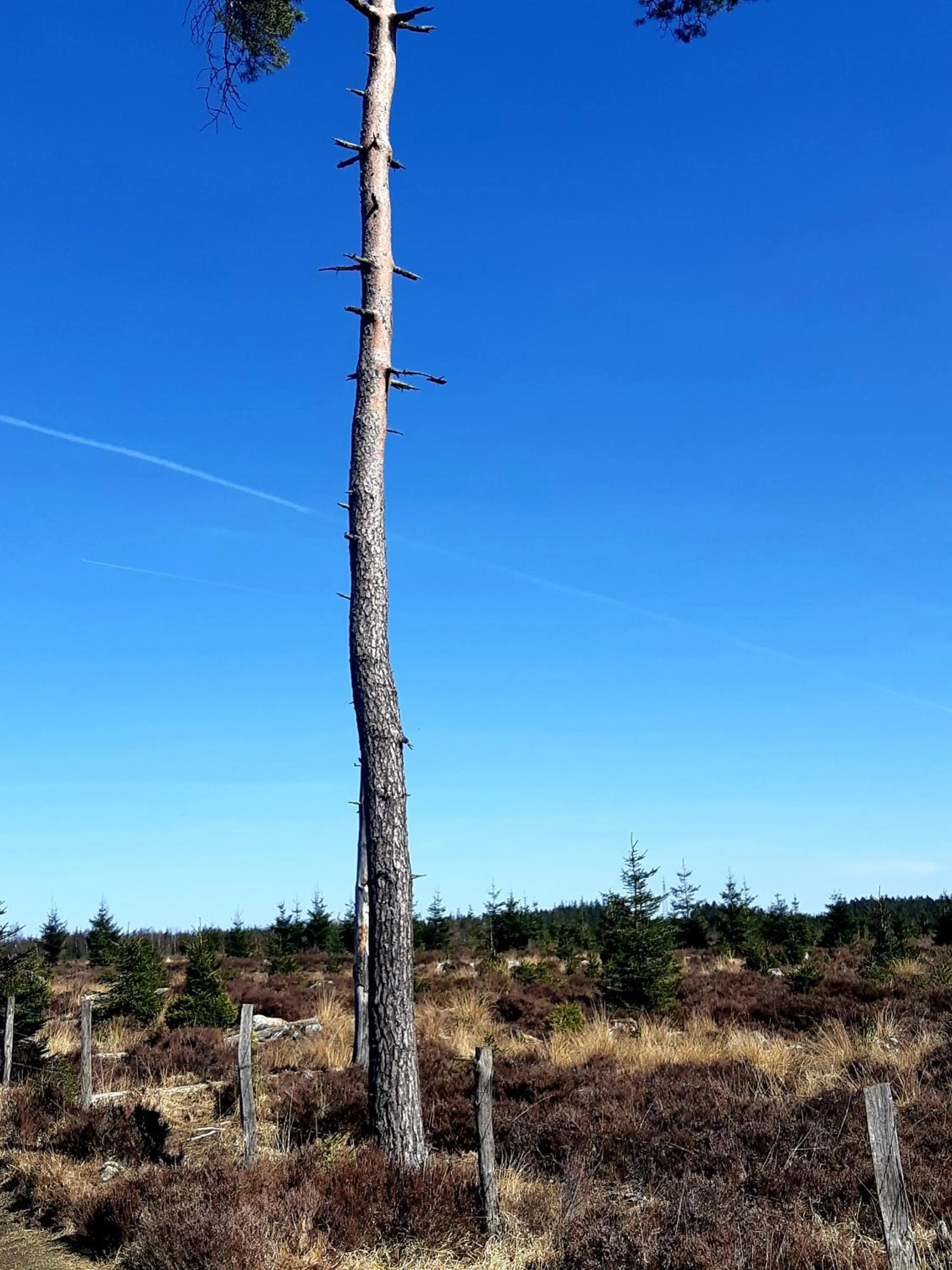 Hiking in B&B Caprice d'Epices