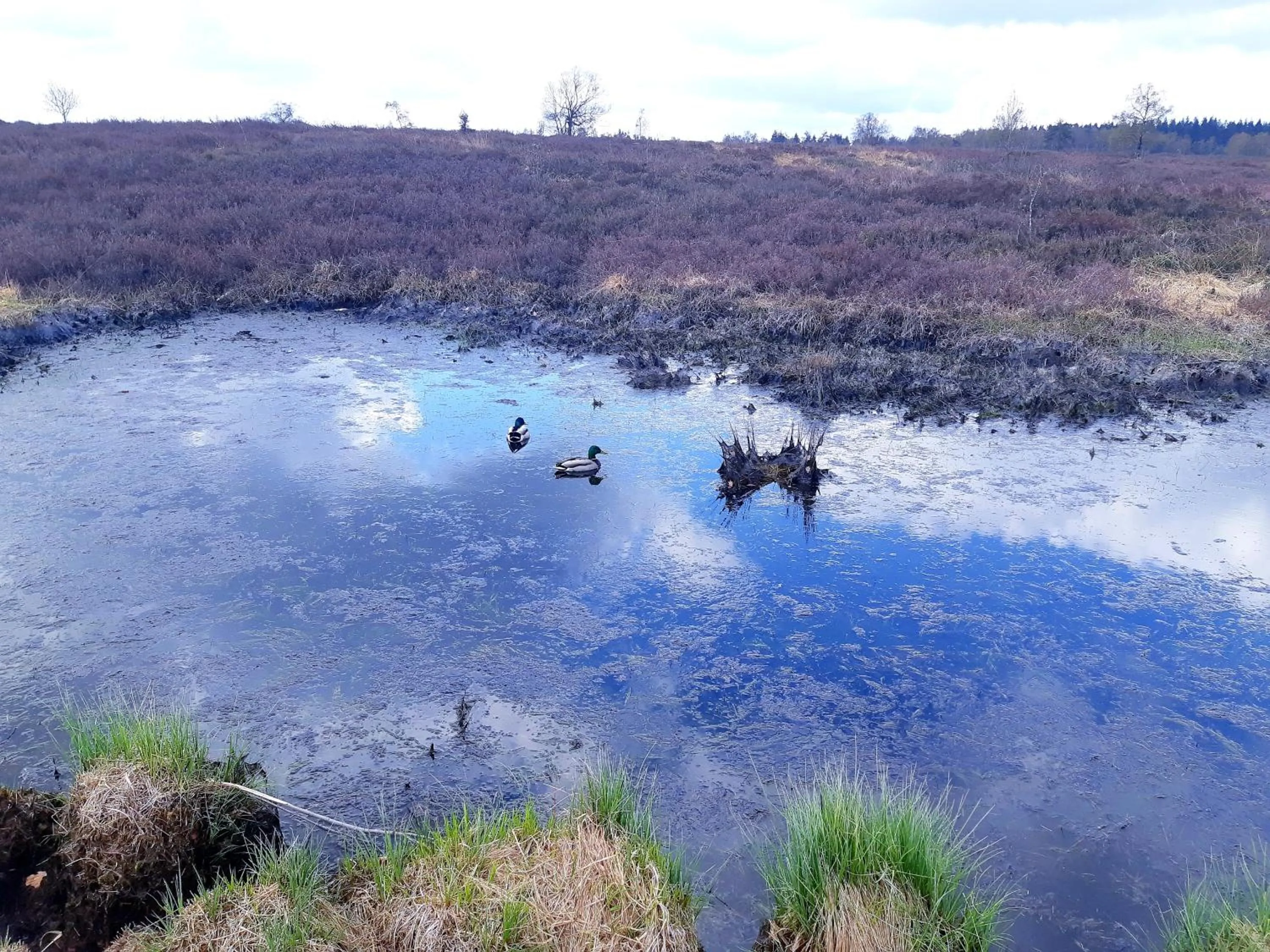 Natural landscape in B&B Caprice d'Epices