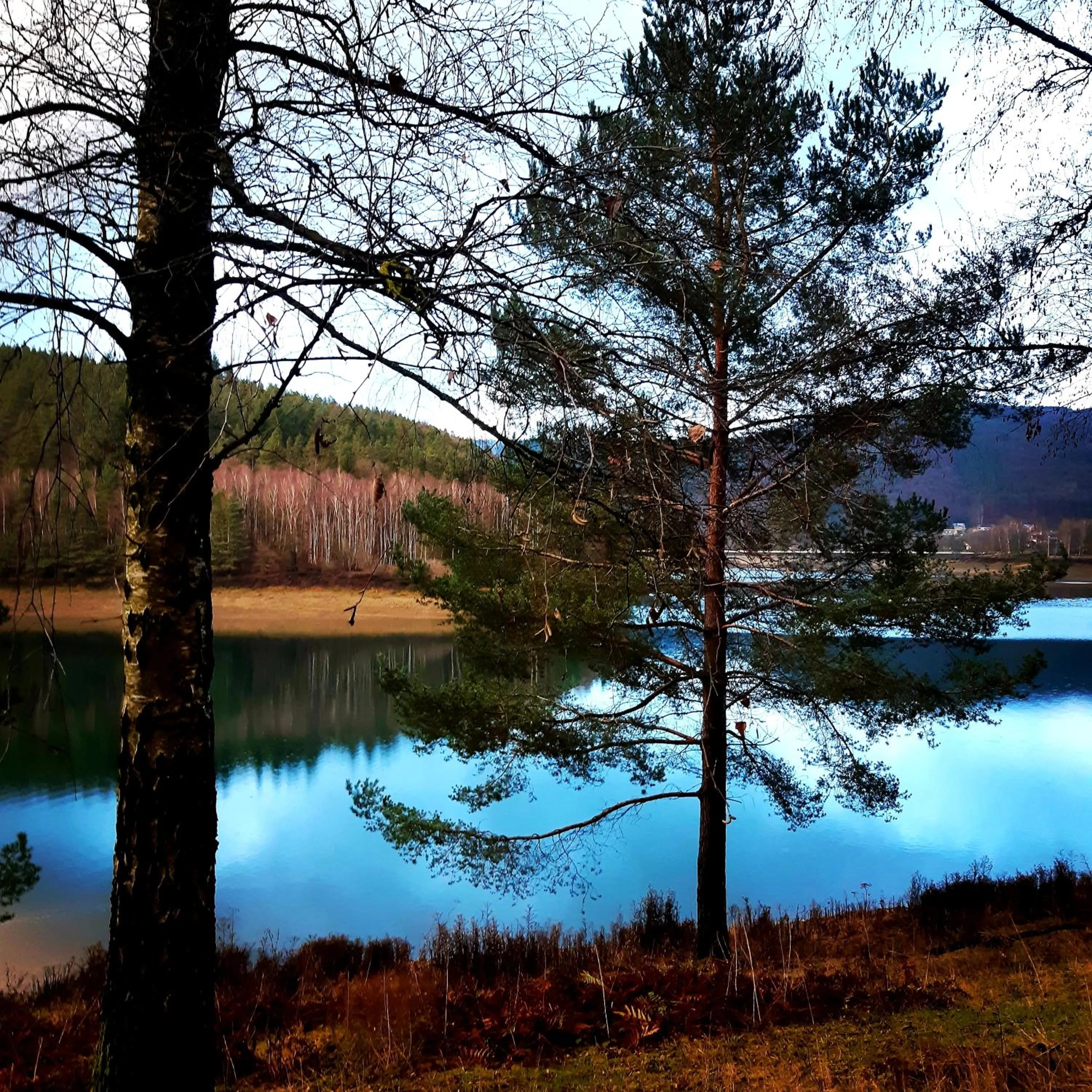 Natural landscape in B&B Caprice d'Epices