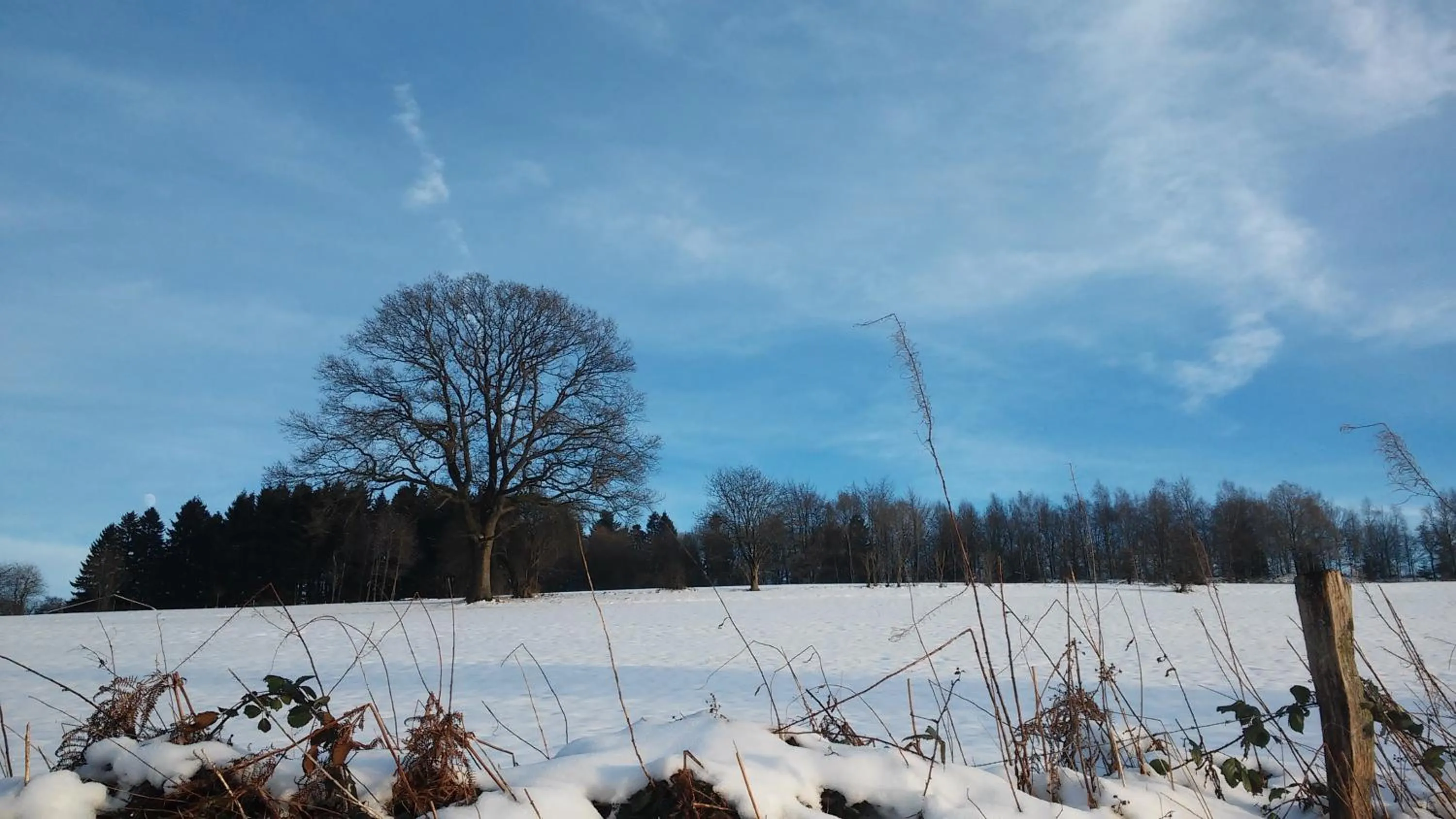 Activities in B&B Caprice d'Epices