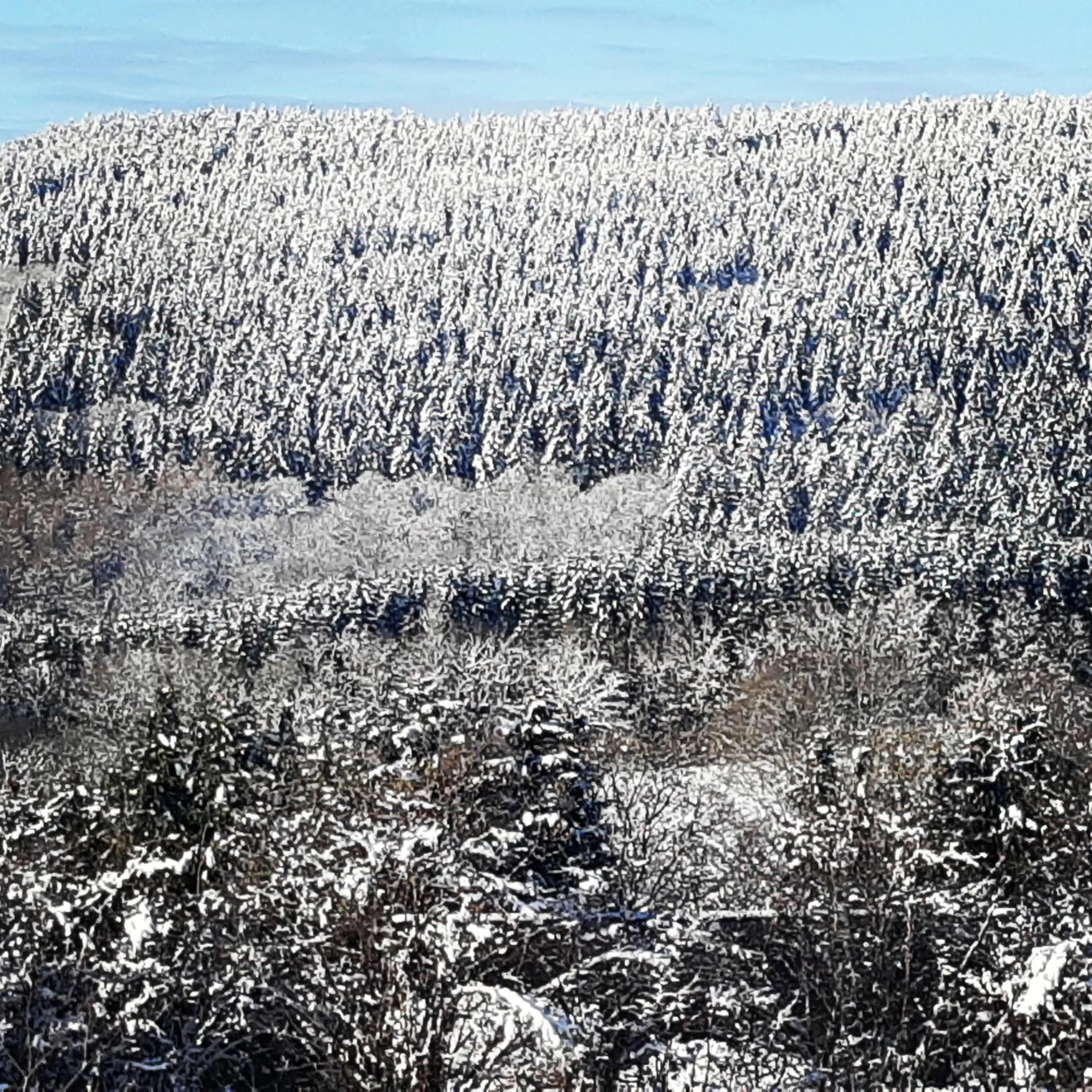 Natural landscape in B&B Caprice d'Epices