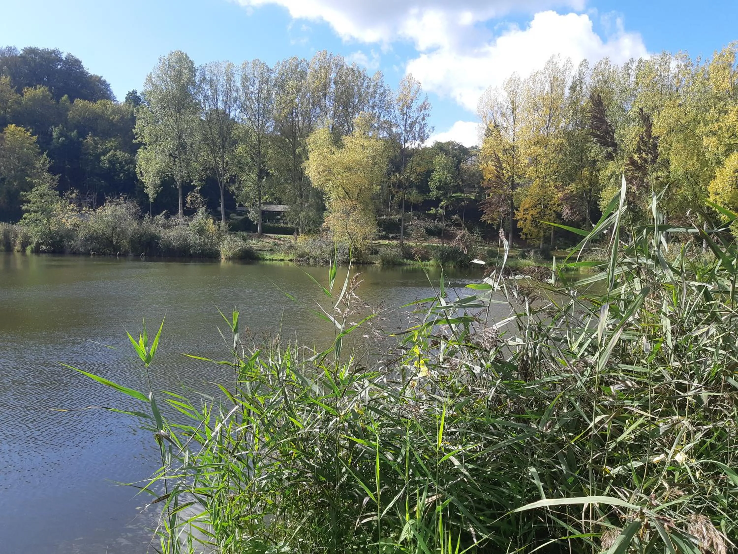 Other in B&B Caprice d'Epices