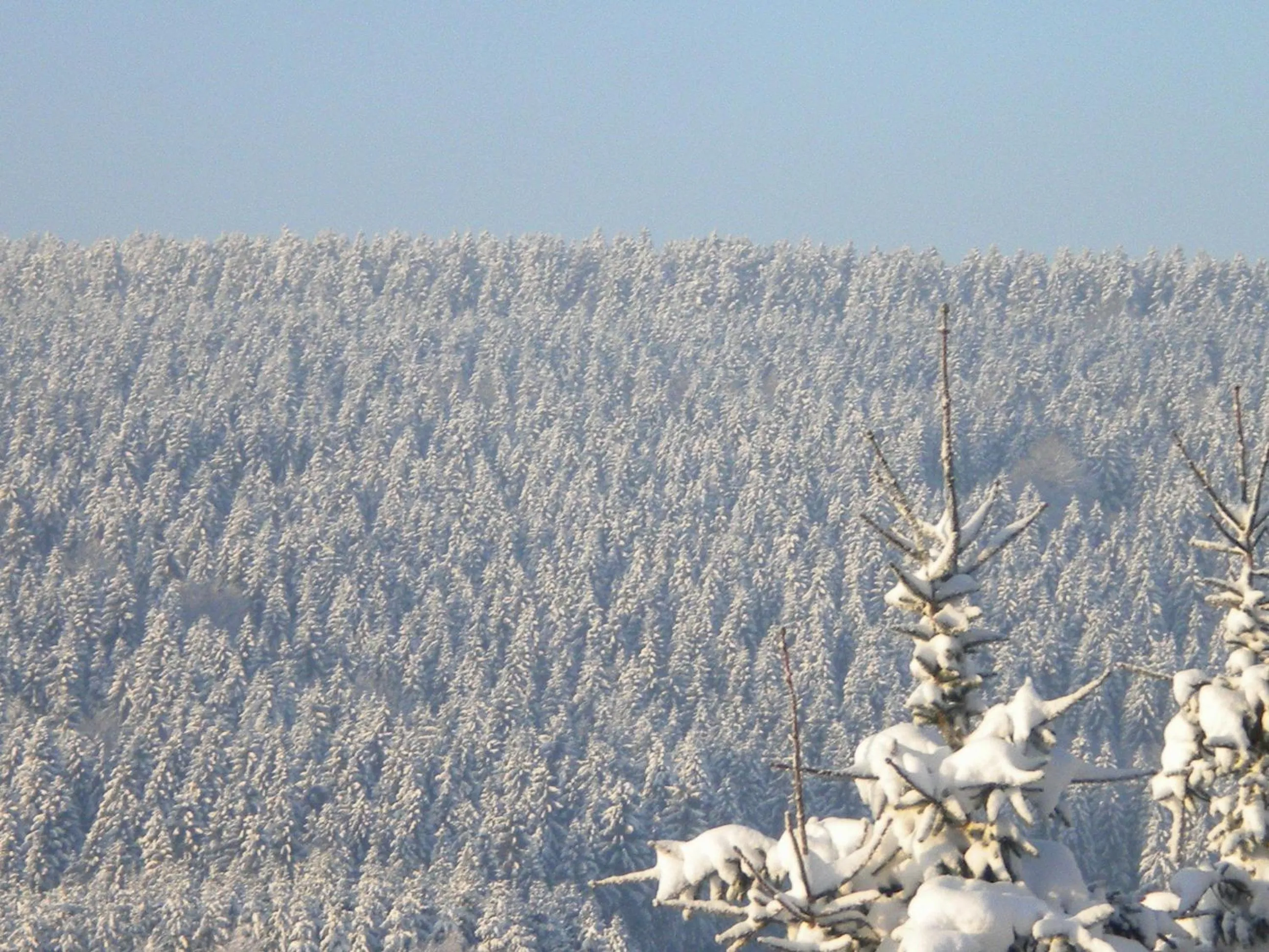 Bird's eye view in B&B Caprice d'Epices